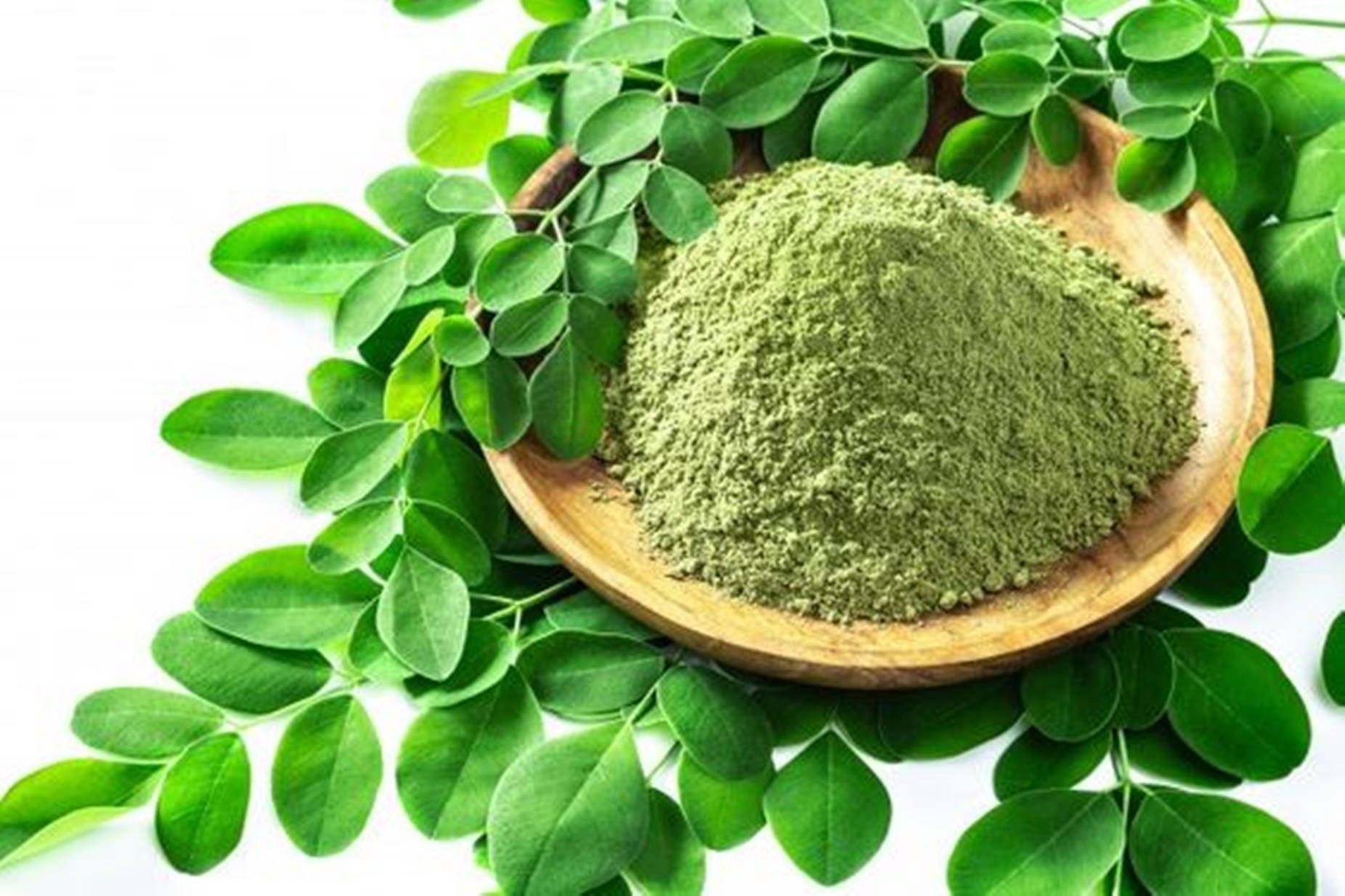 Fine-grained Moringa Tea Powder Background