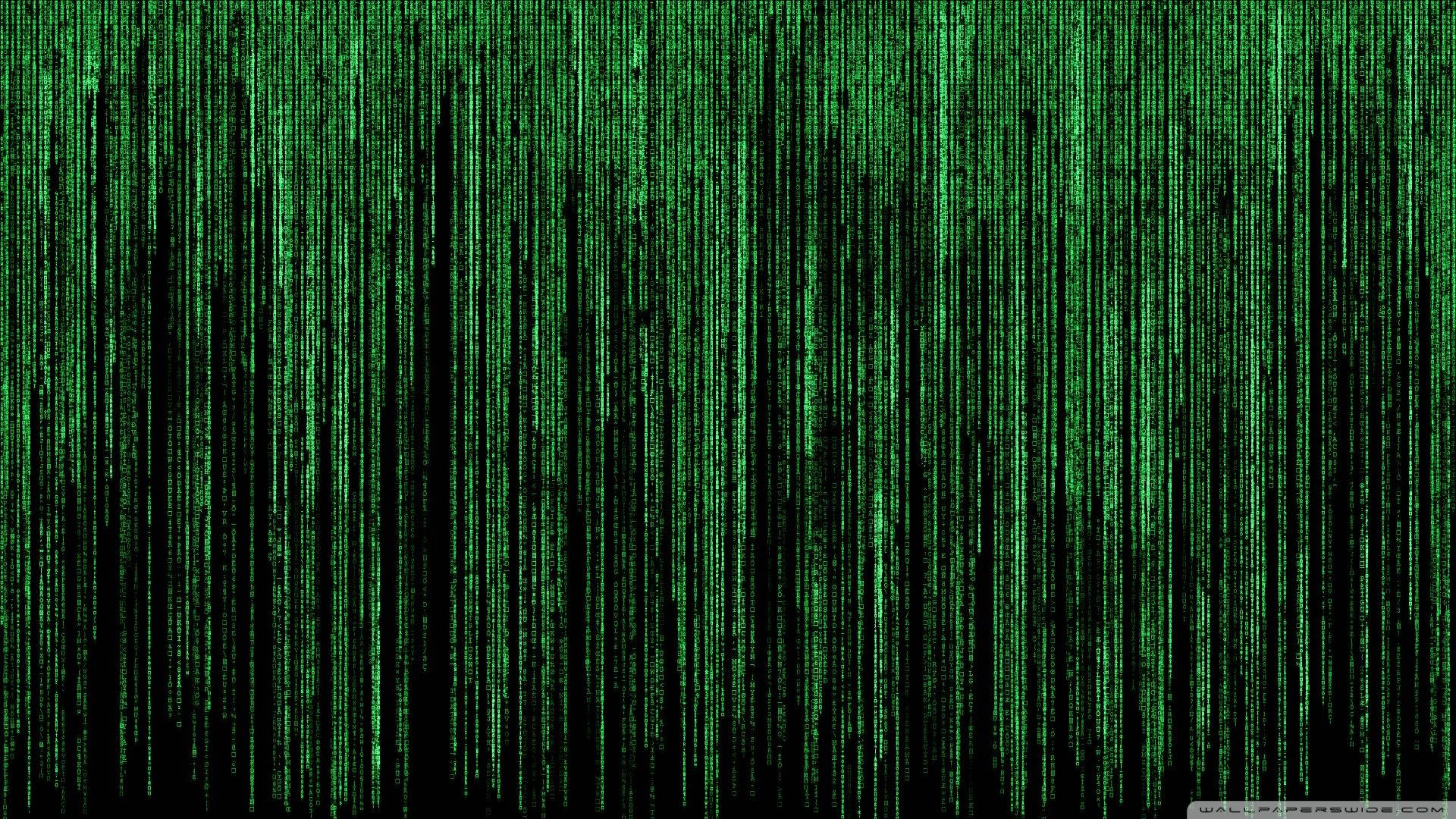 Fine Neon Green Matrix Background