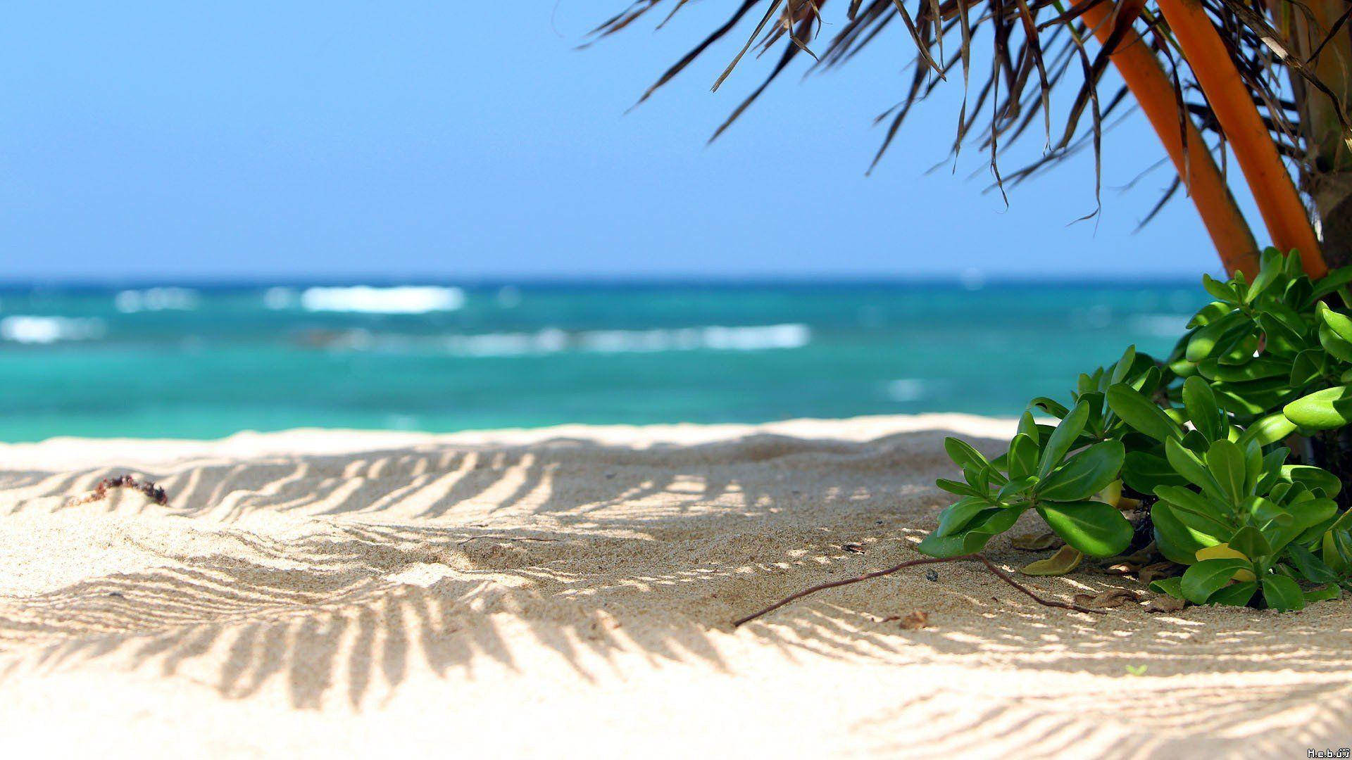 Fine Sand Beach Desktop Background