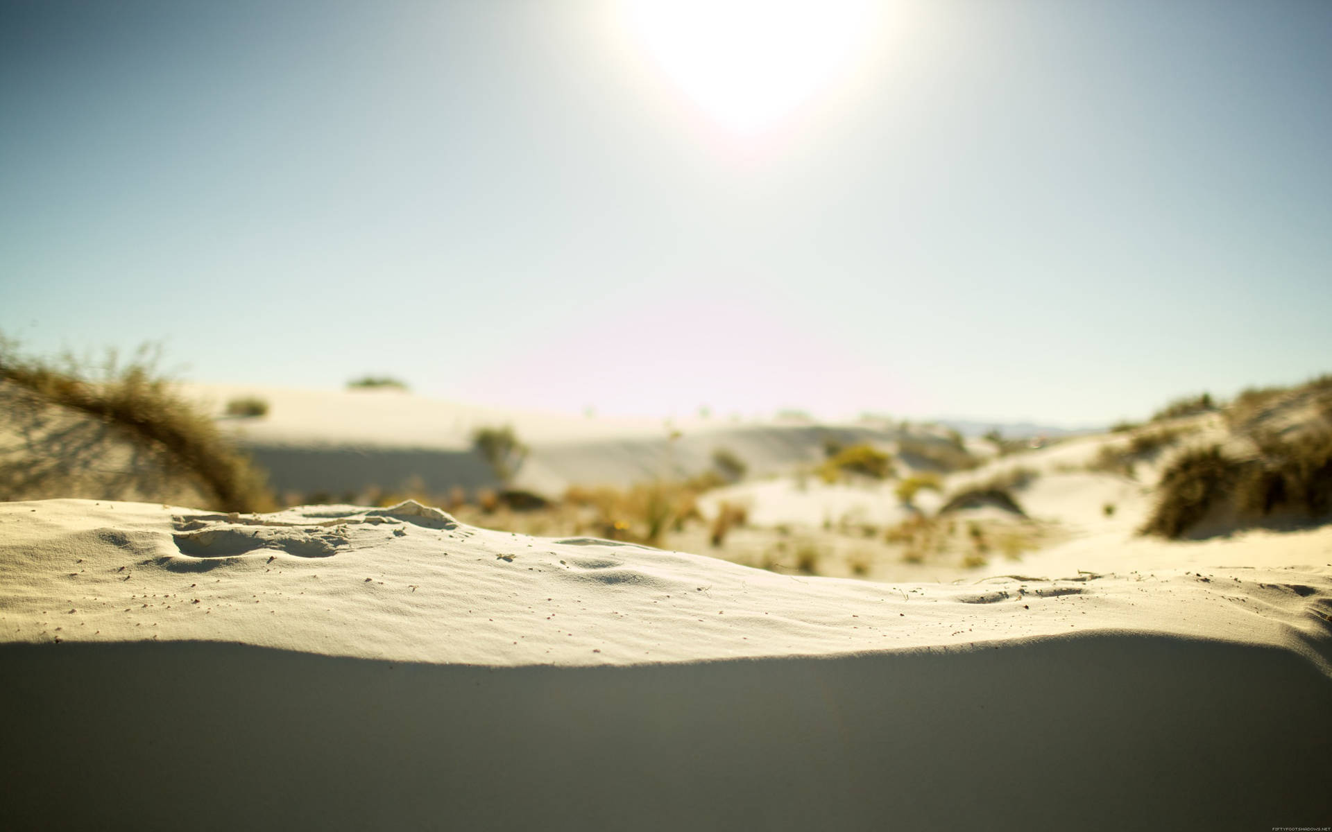 Fine White Desert Sun Background