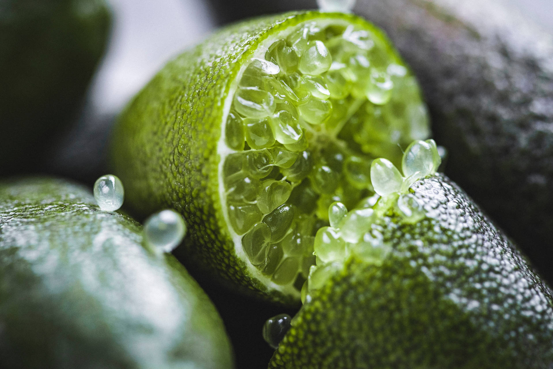 Finger Lime Zoomed In