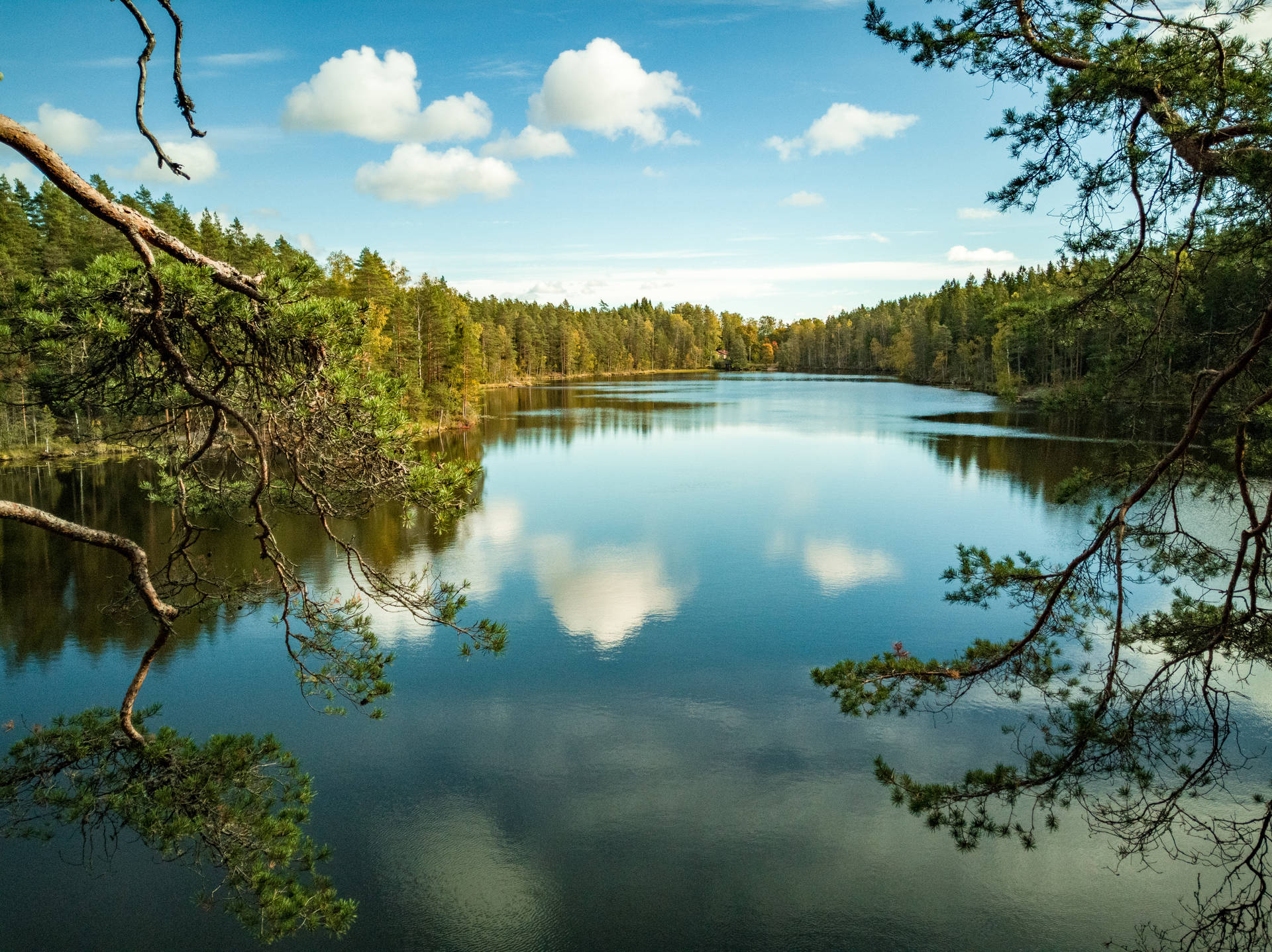 Finland Nuuksio National Park Background