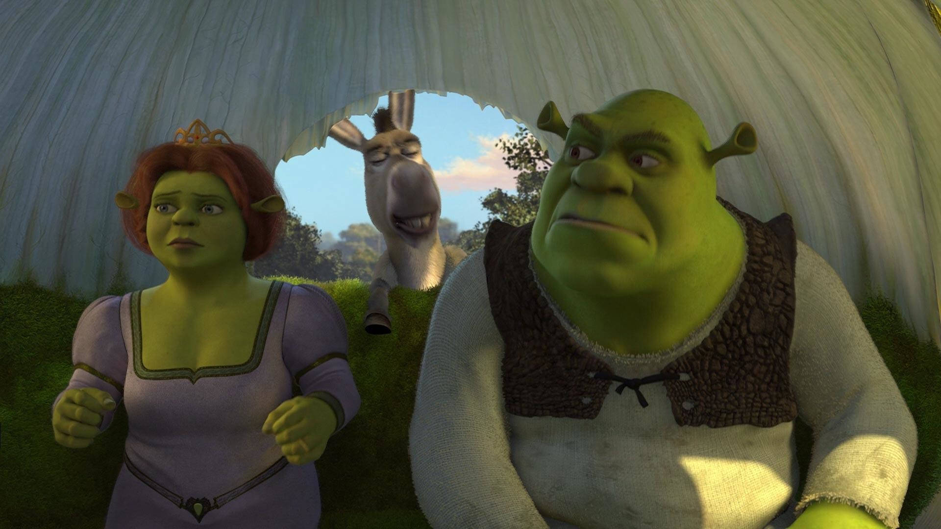 Fiona Donkey And Shrek 2 Cart