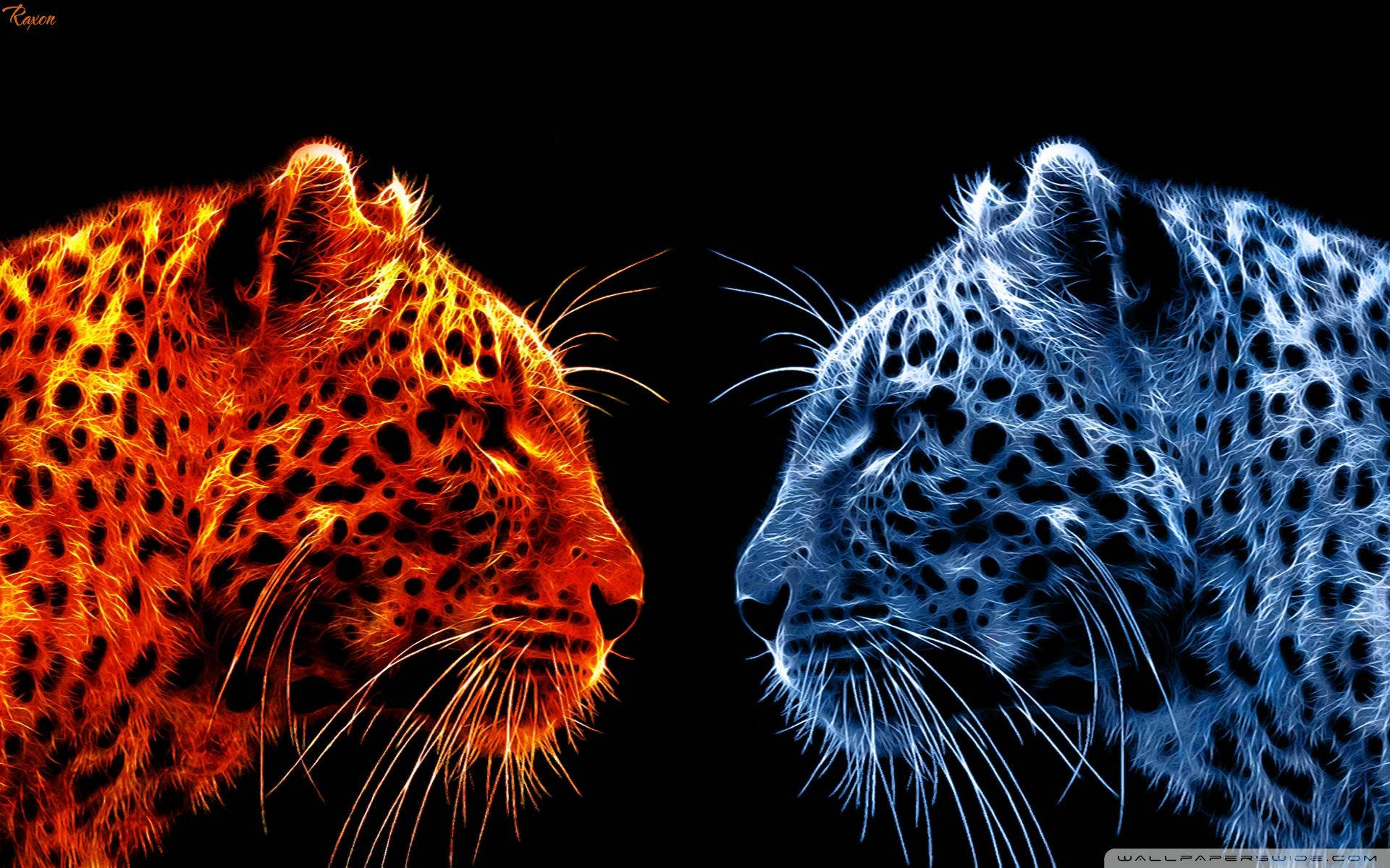 Fire And Ice Cheetah Background