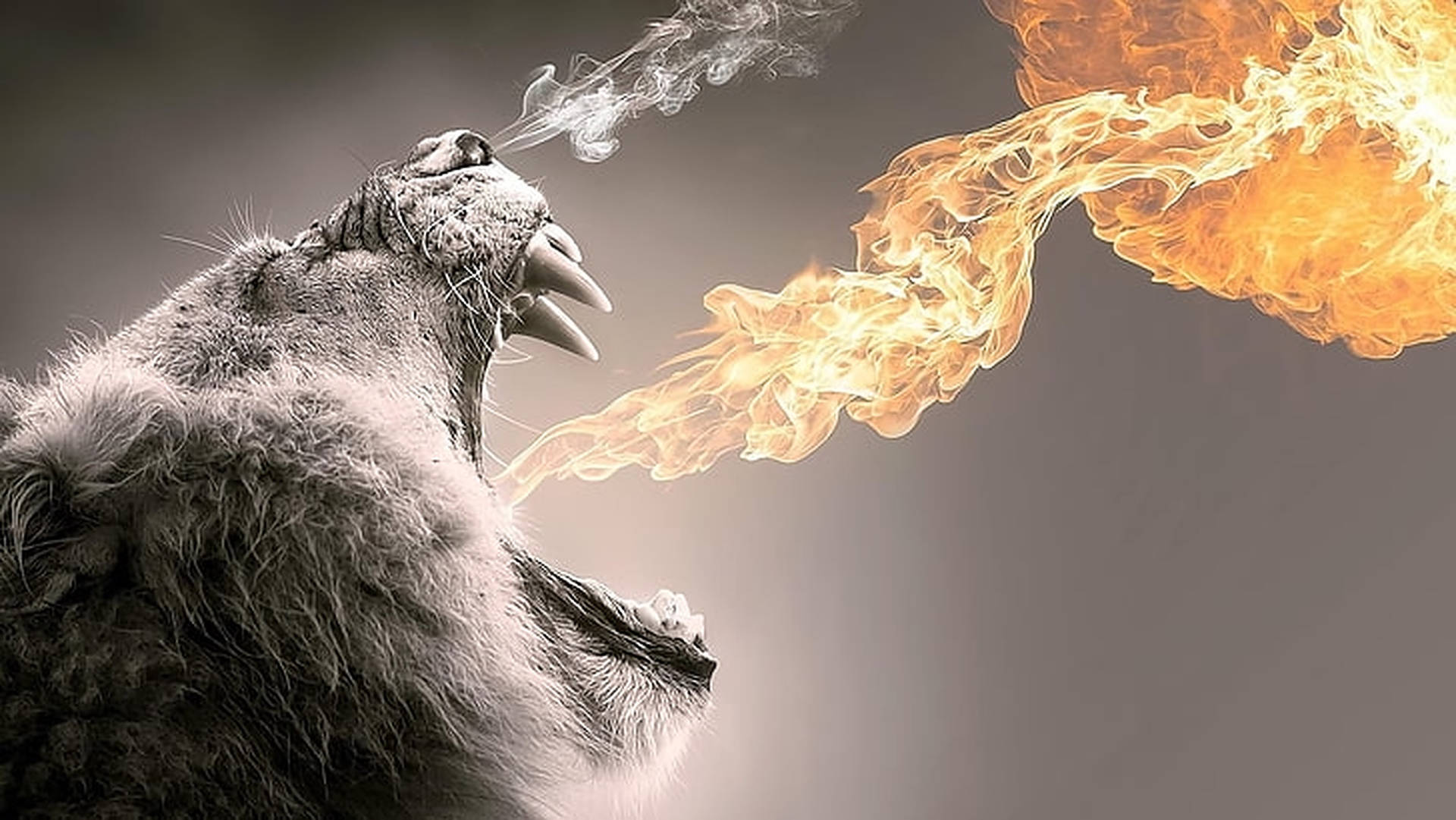 Fire Breathing Lion