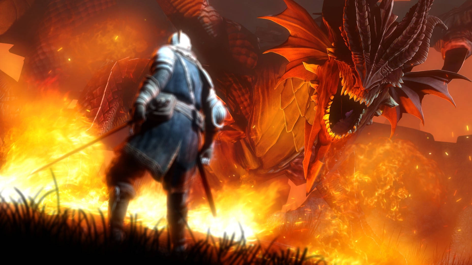 Fire Dragon In Burning Field Background