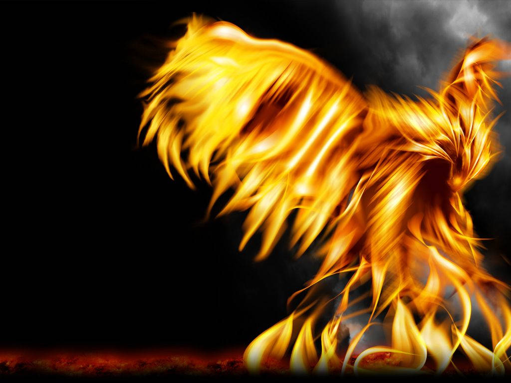 Fire Phoenix Black Background Background