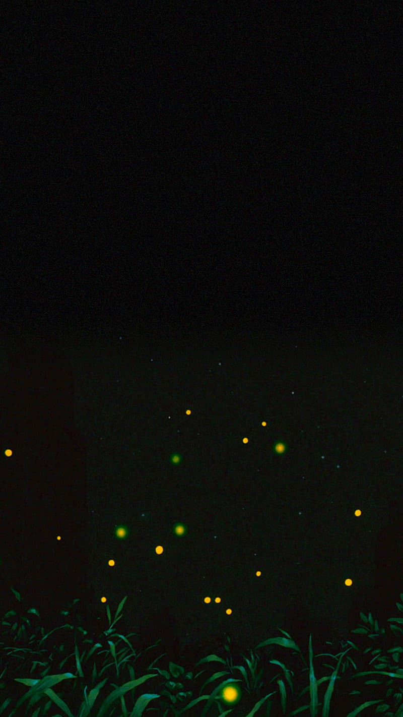 Fireflies Cool Android Background