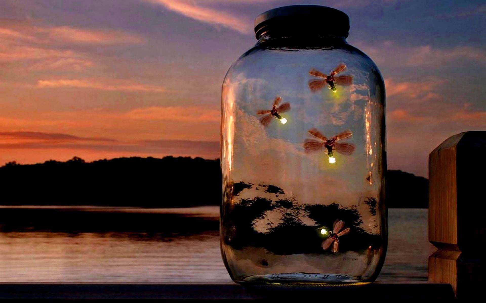 Firefly Hd Inside Jar Background