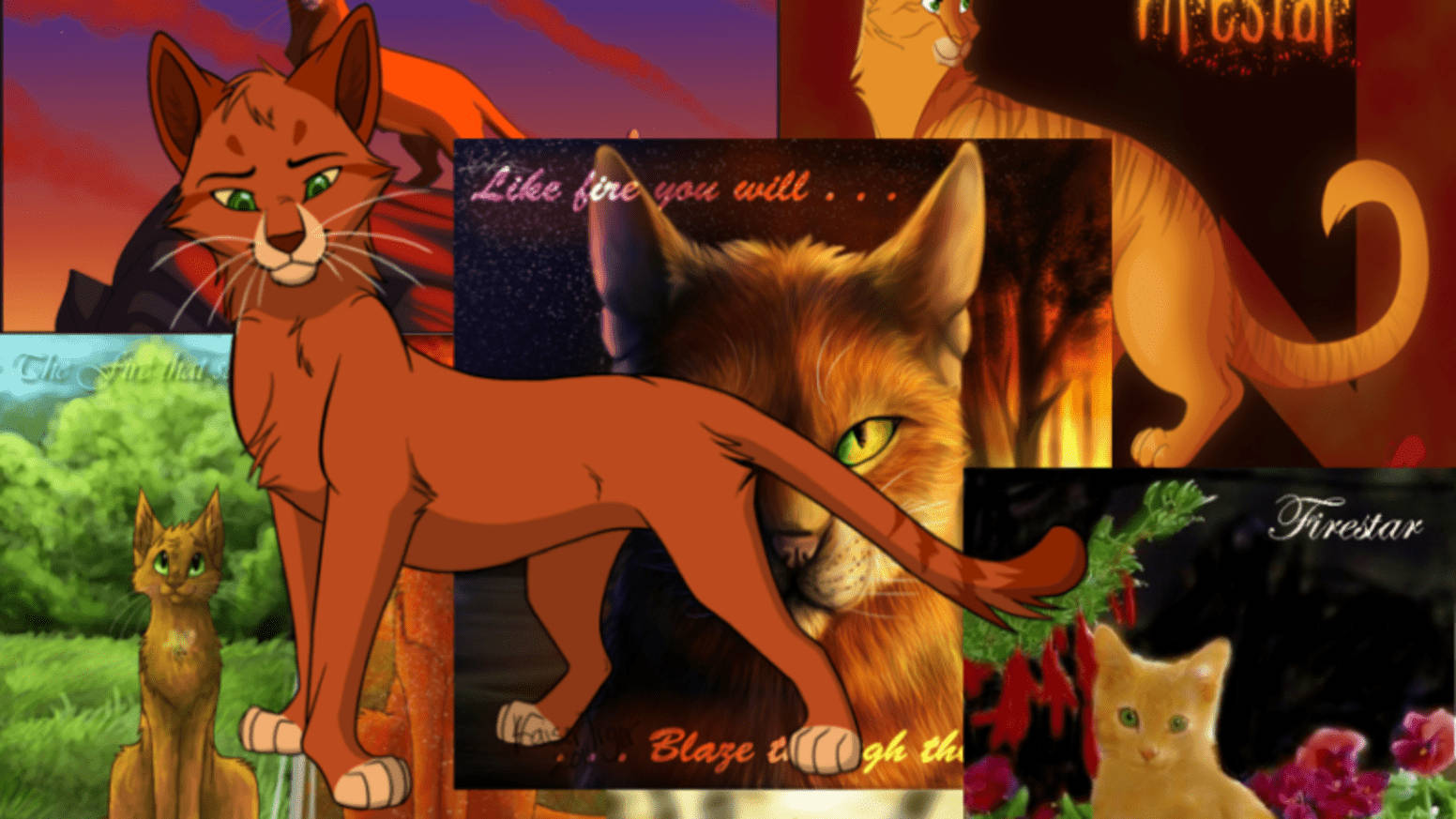 Firestar Of Warrior Cats Collage Background