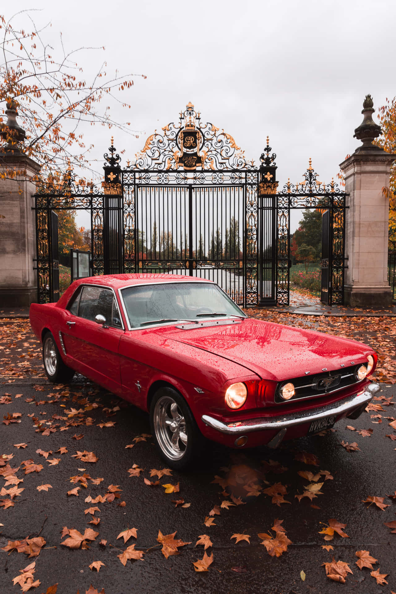 First Generation Ford Mustang Vintage Car Background