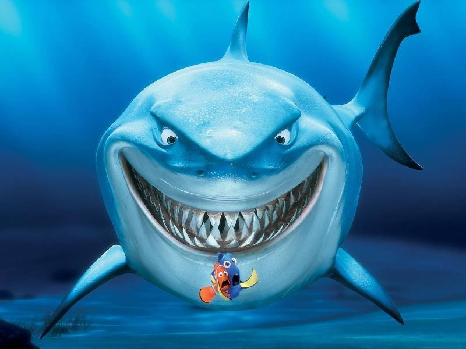 Fish Dory And Nemo Shark Attack Background