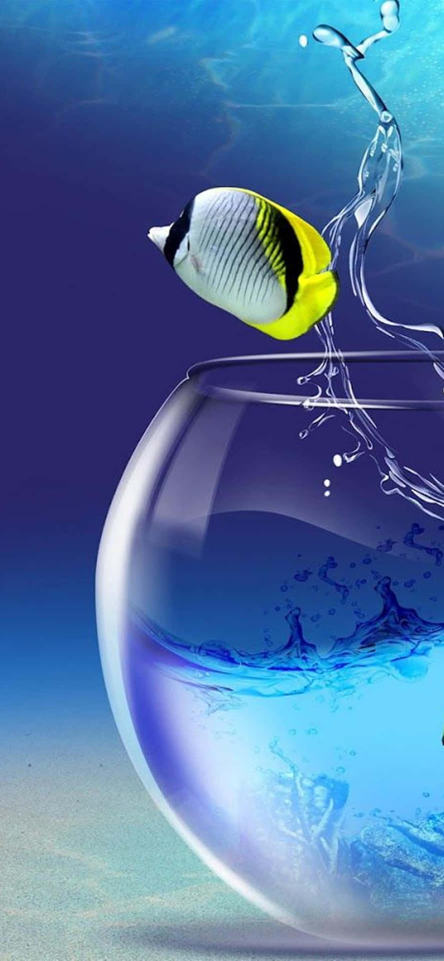 Fish Jumping Out Of A Bowl Of Water Background