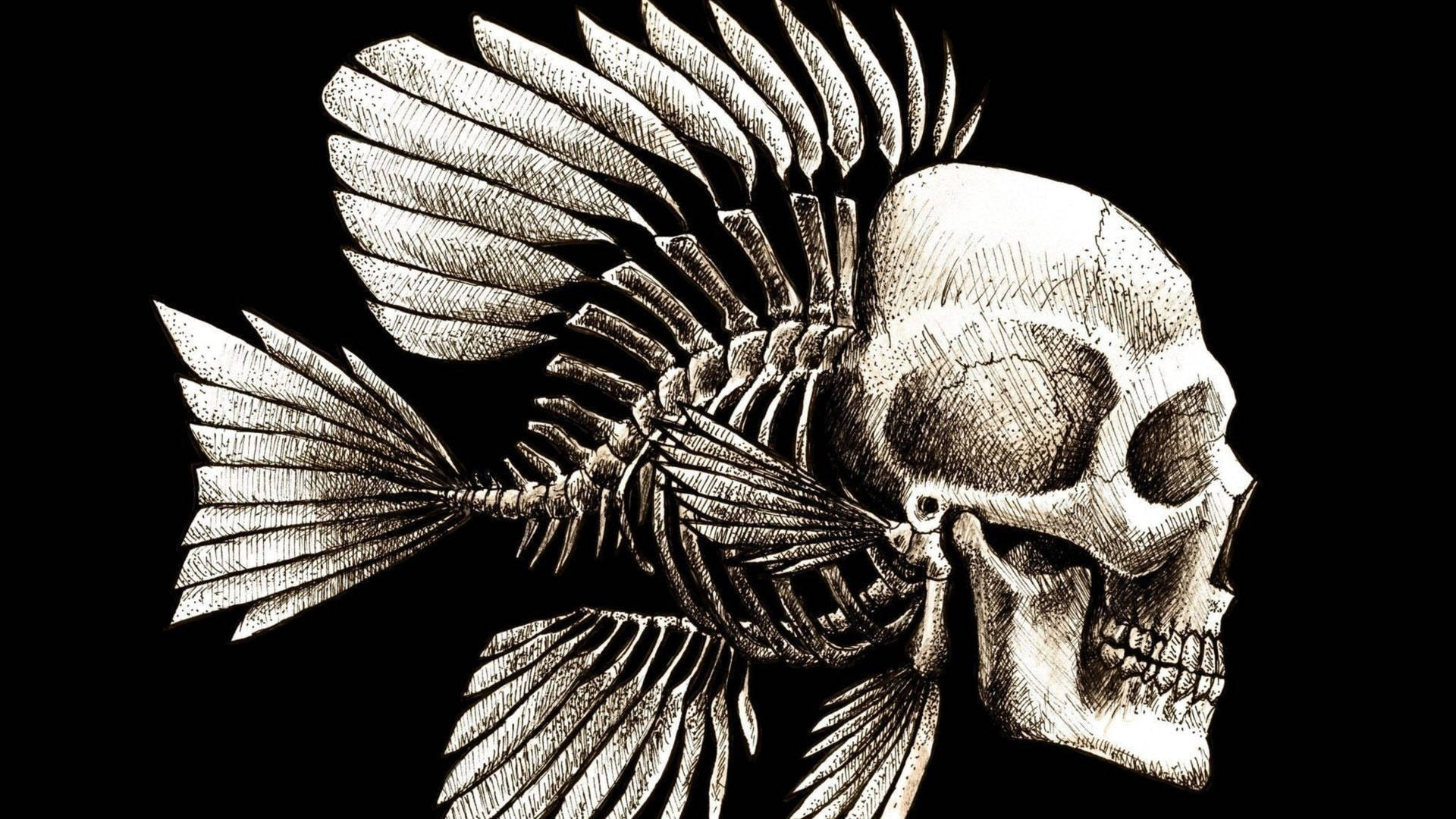 Fish Skull Dark Abstract Background