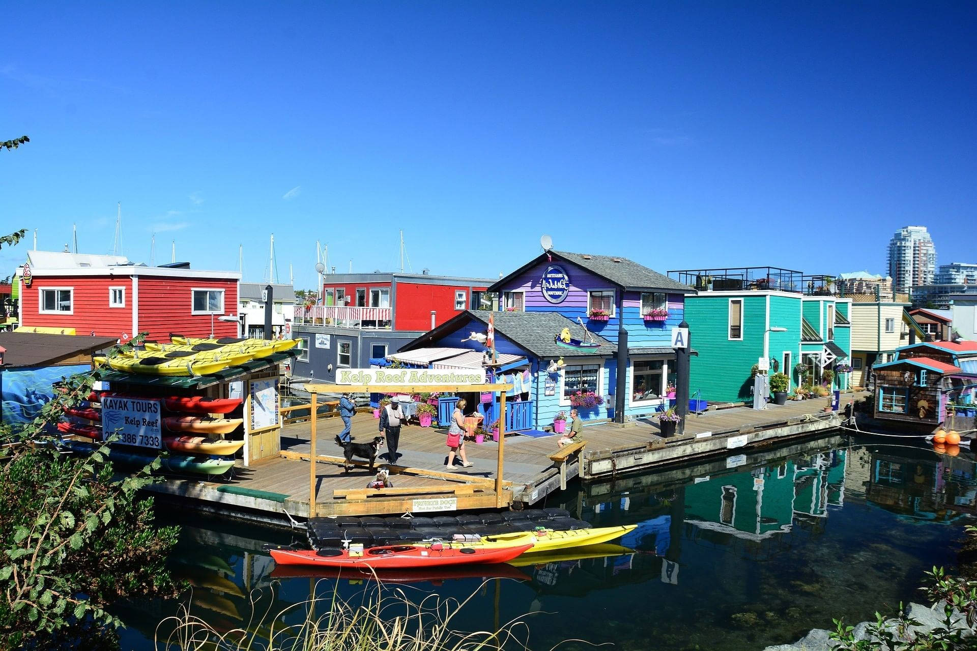 Fishermans Wharf Park Victoria Background