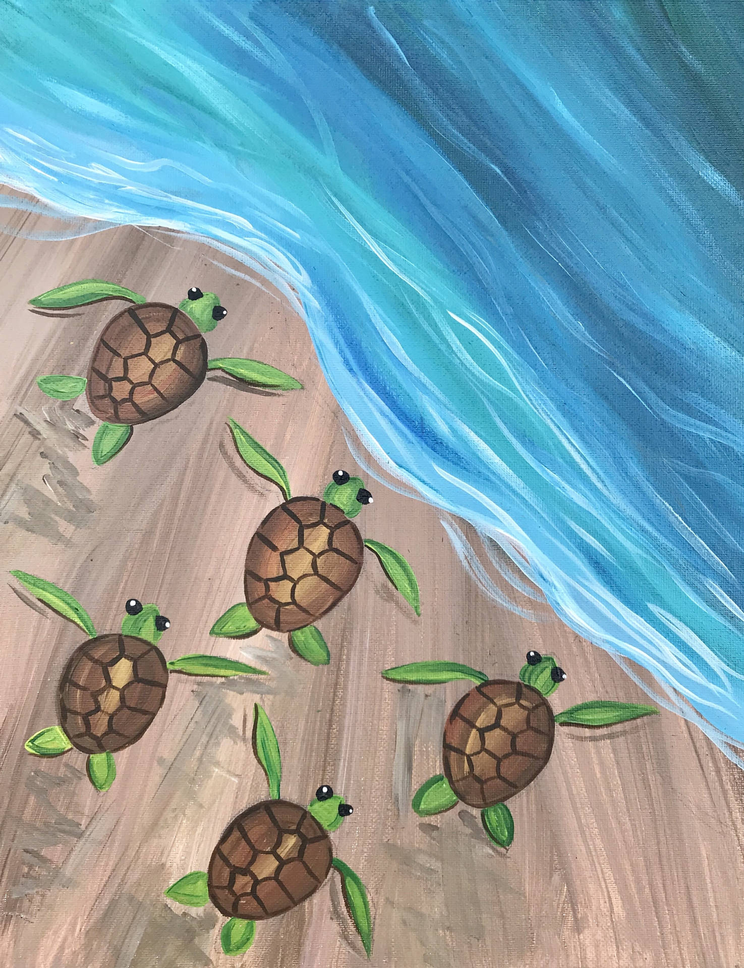 Five Cute Turtles On Seashore
