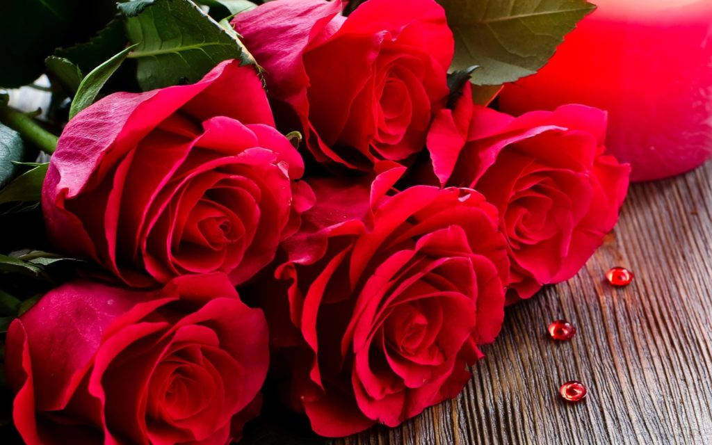 Five Red Rose Hd Background