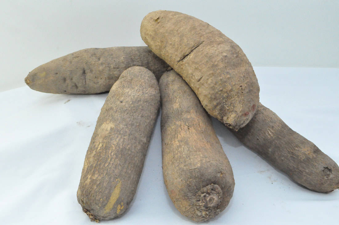 Five Root Vegetable Yams Background