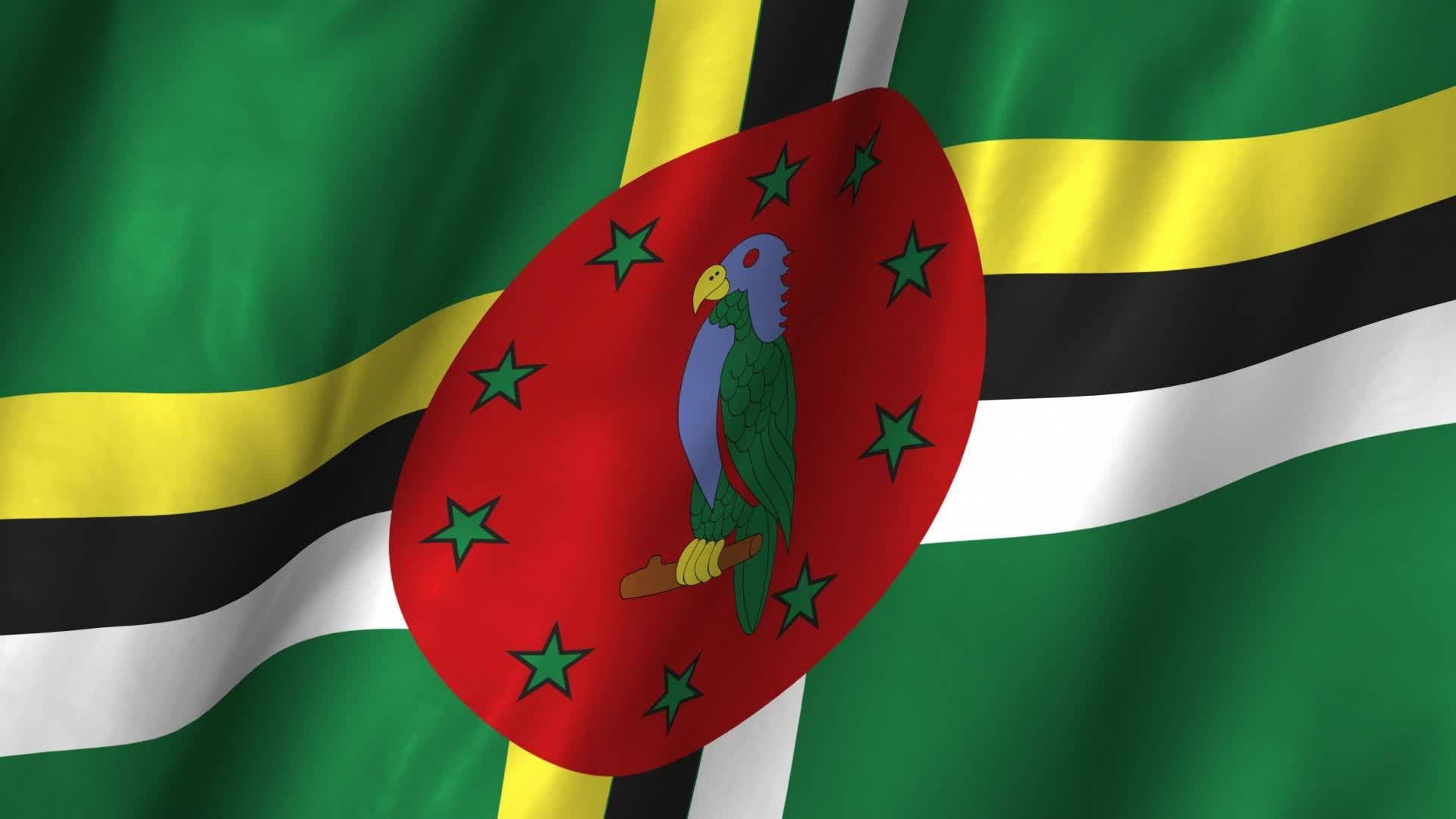 Flag Of Dominica Background