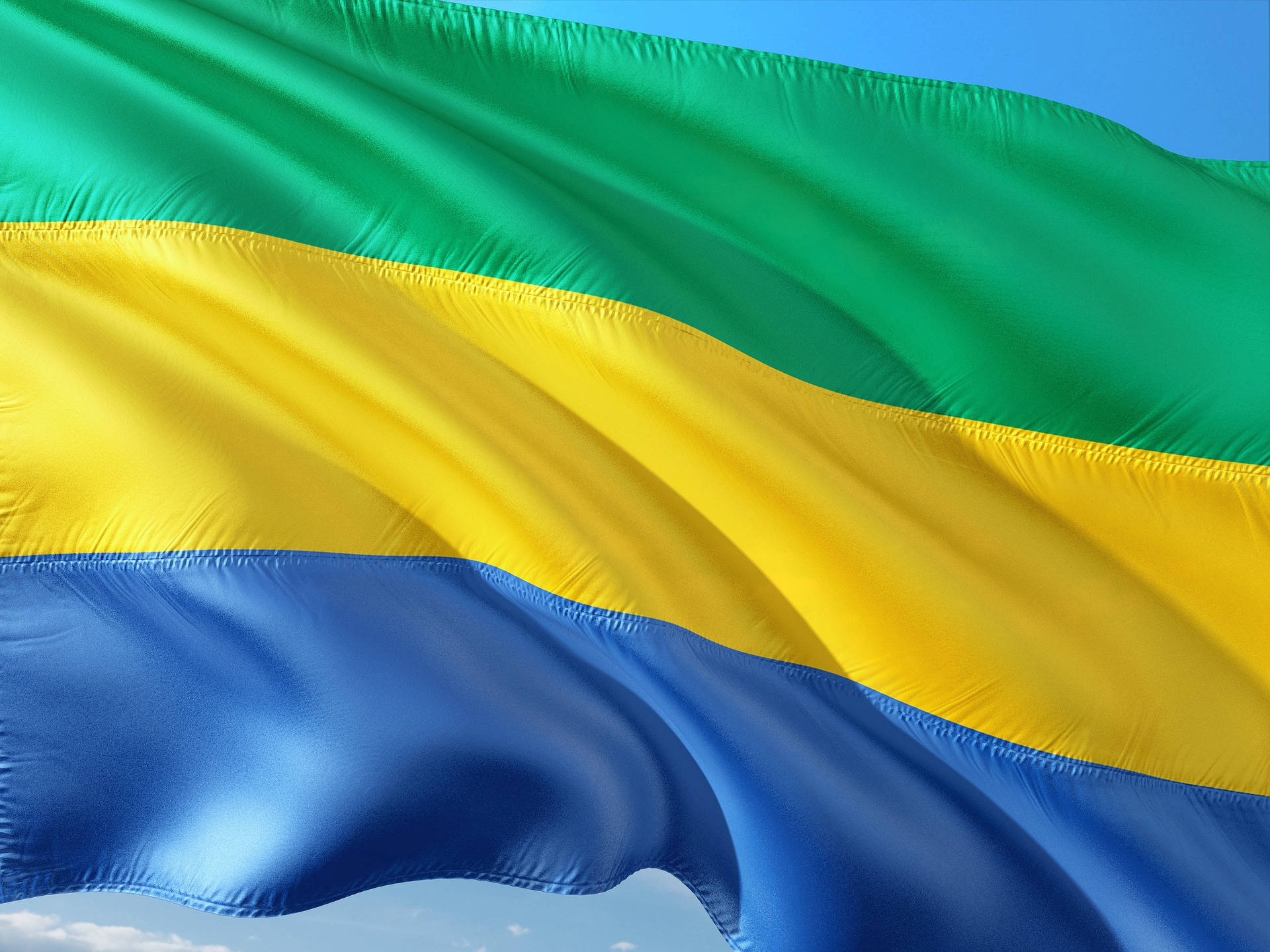 Flag Of Gabon