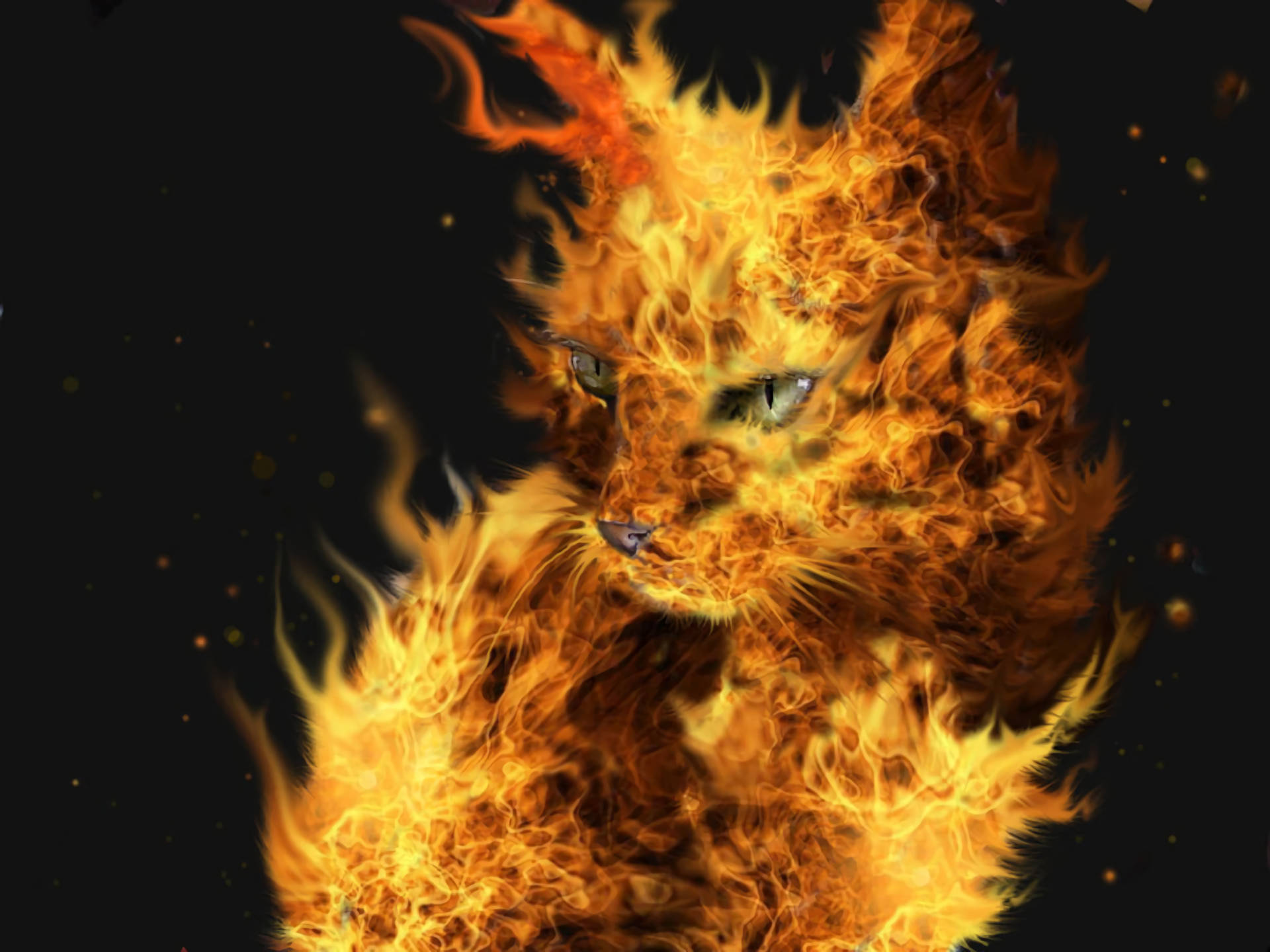 Flaming Cat Fire Background Background