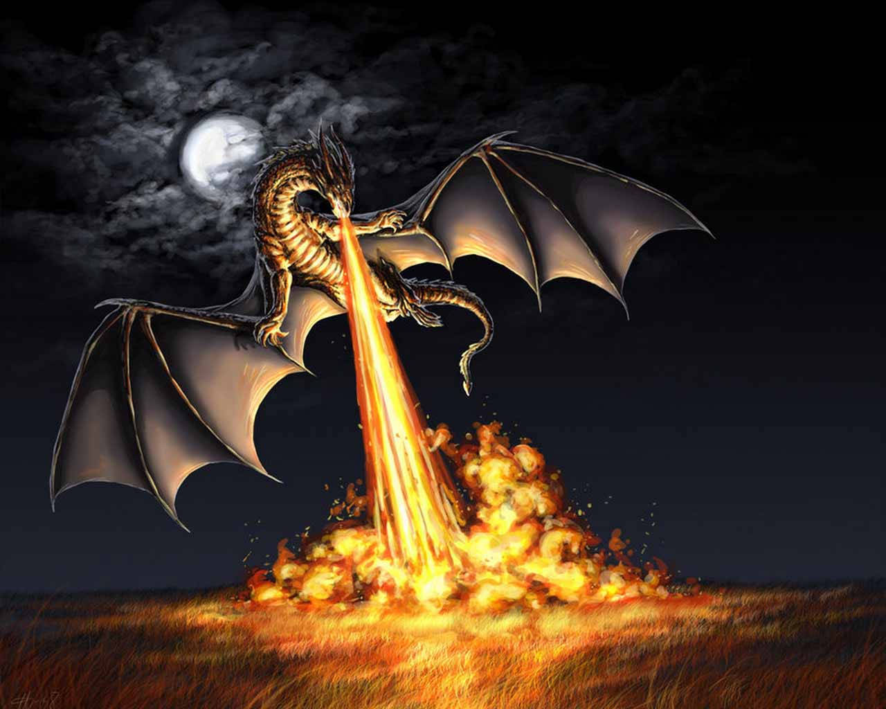 Flaming Earth Dragon Background