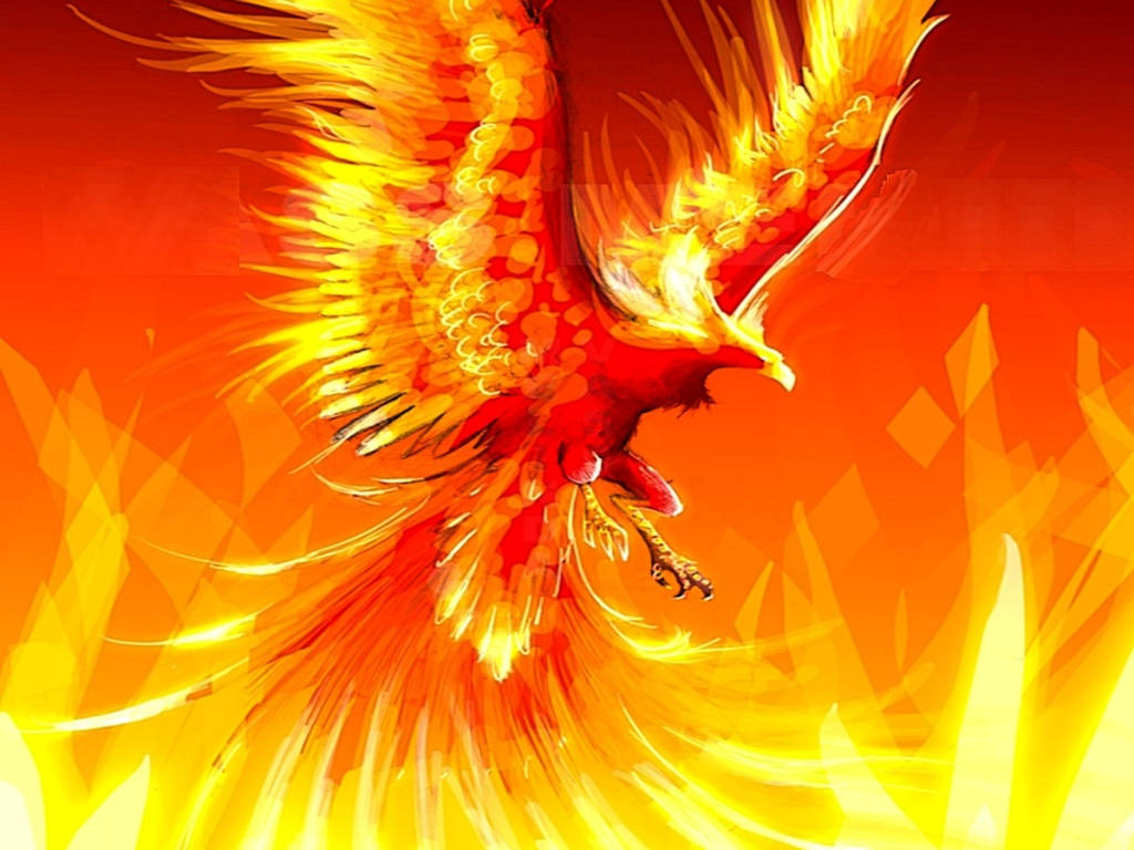 Flaming Wings In The Night Sky Background