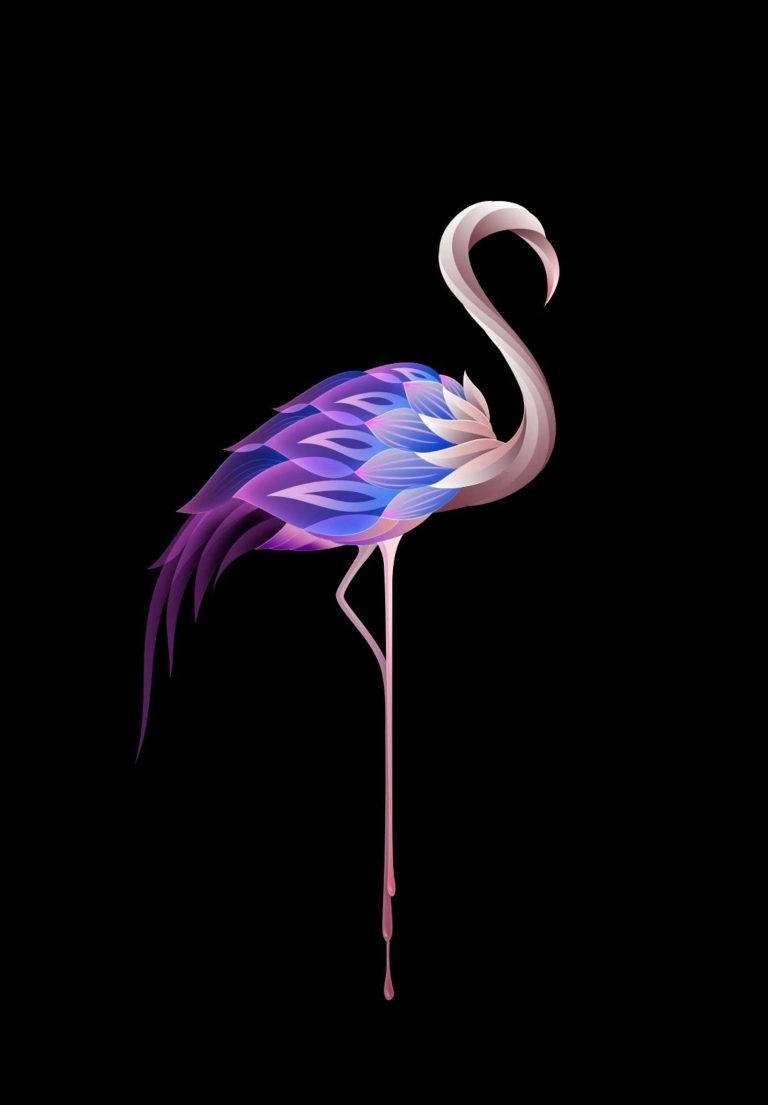 Flamingo Art Ipad 2021