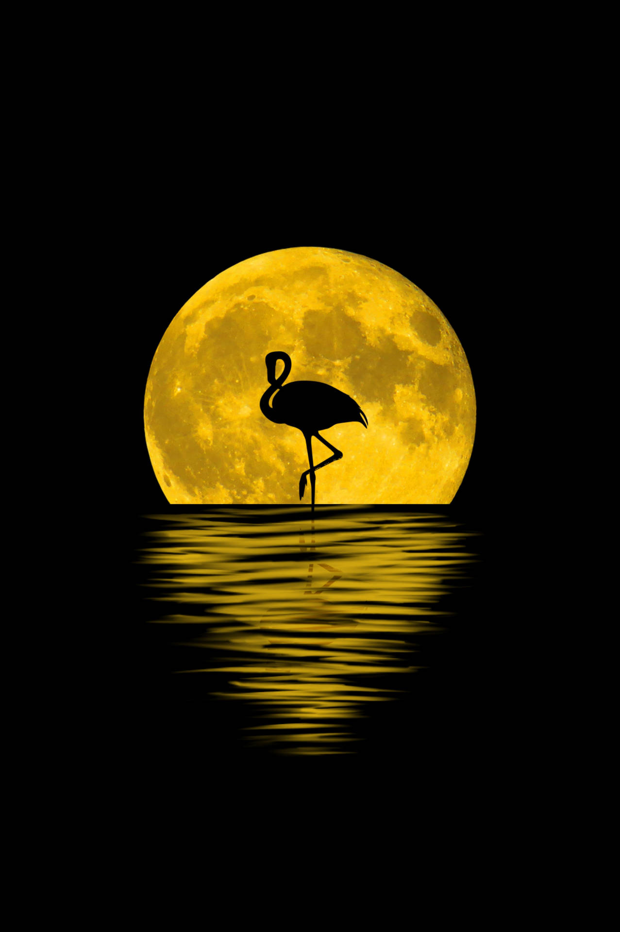 Flamingo In Yellow Moonlight Background