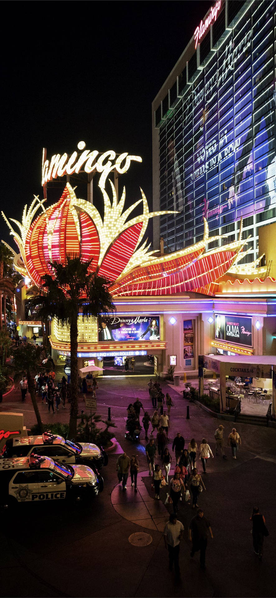 Flamingo Las Vegas Hotel And Casino Iphone Background