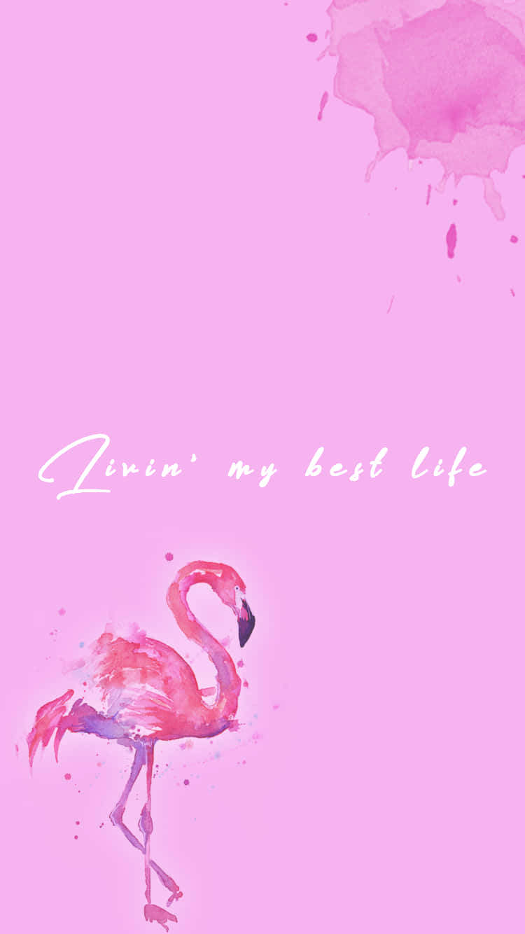 Flamingo Wallpaper - Flamingo Wallpaper