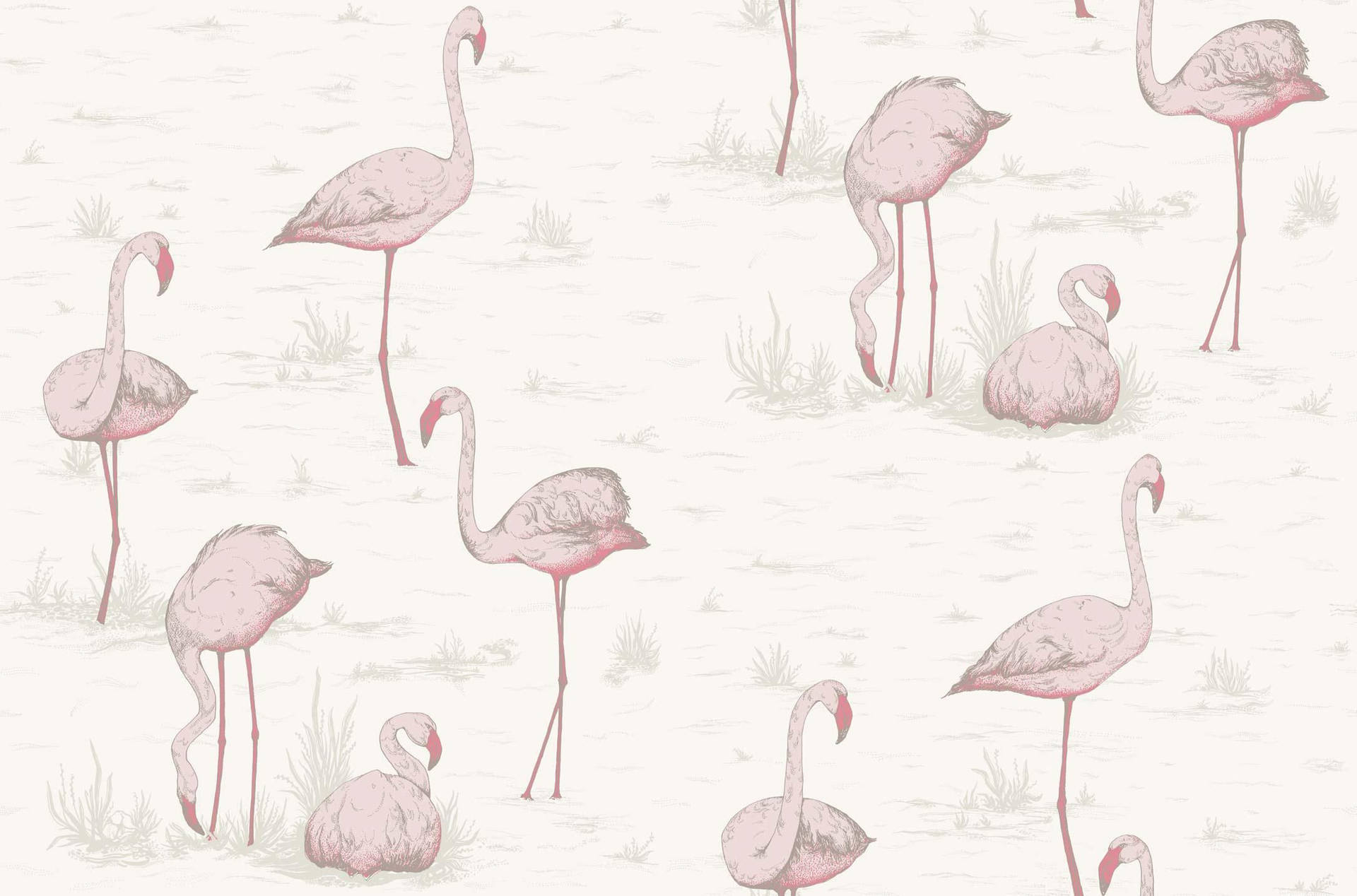 Flamingo White Pattern Background