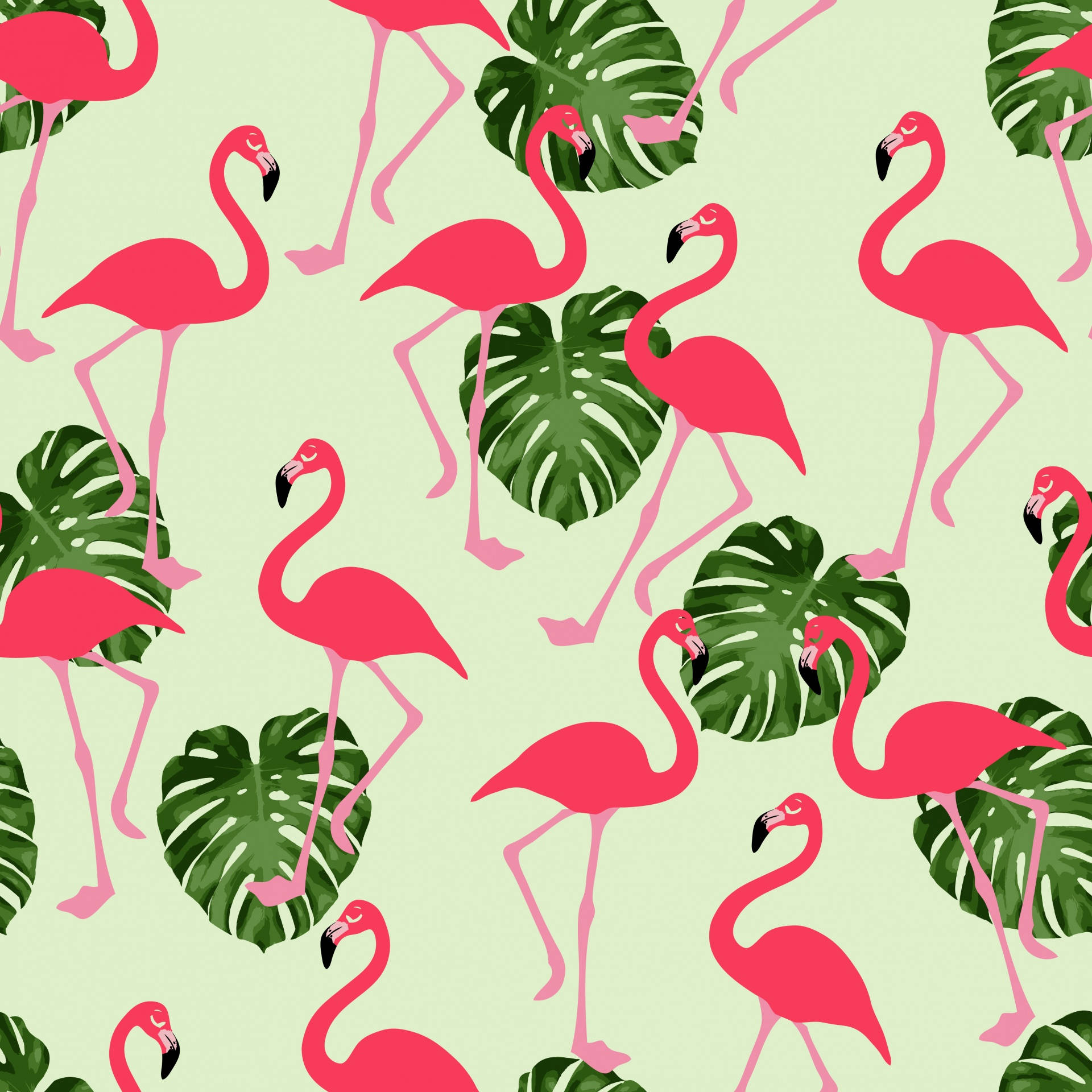 Flamingos And Tropical Leaves Pattern Background