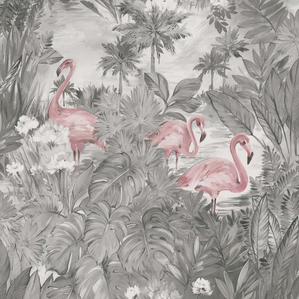 Flamingos In The Jungle Wallpaper Background