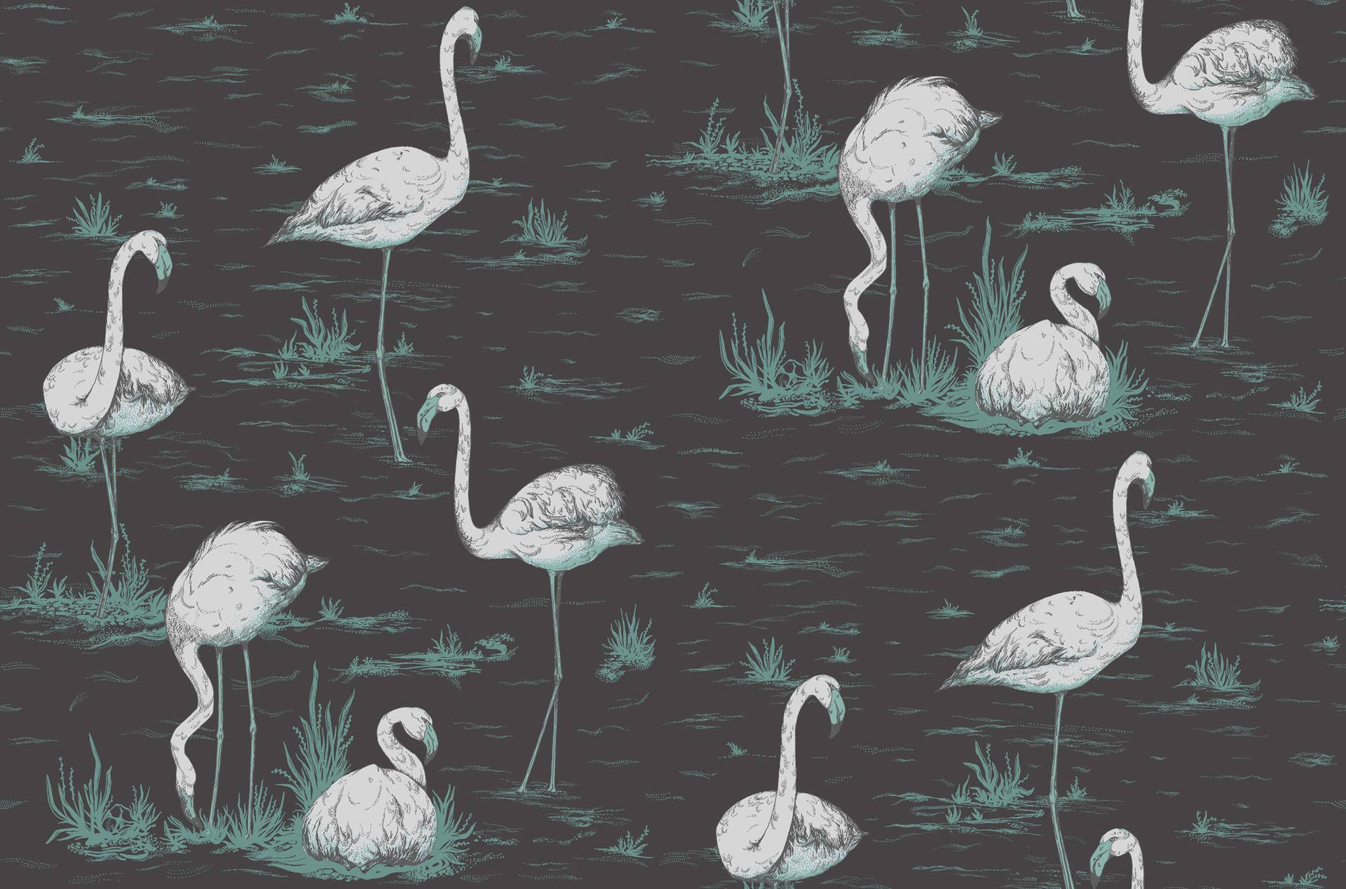 Flamingos Teal And Black Pattern Background