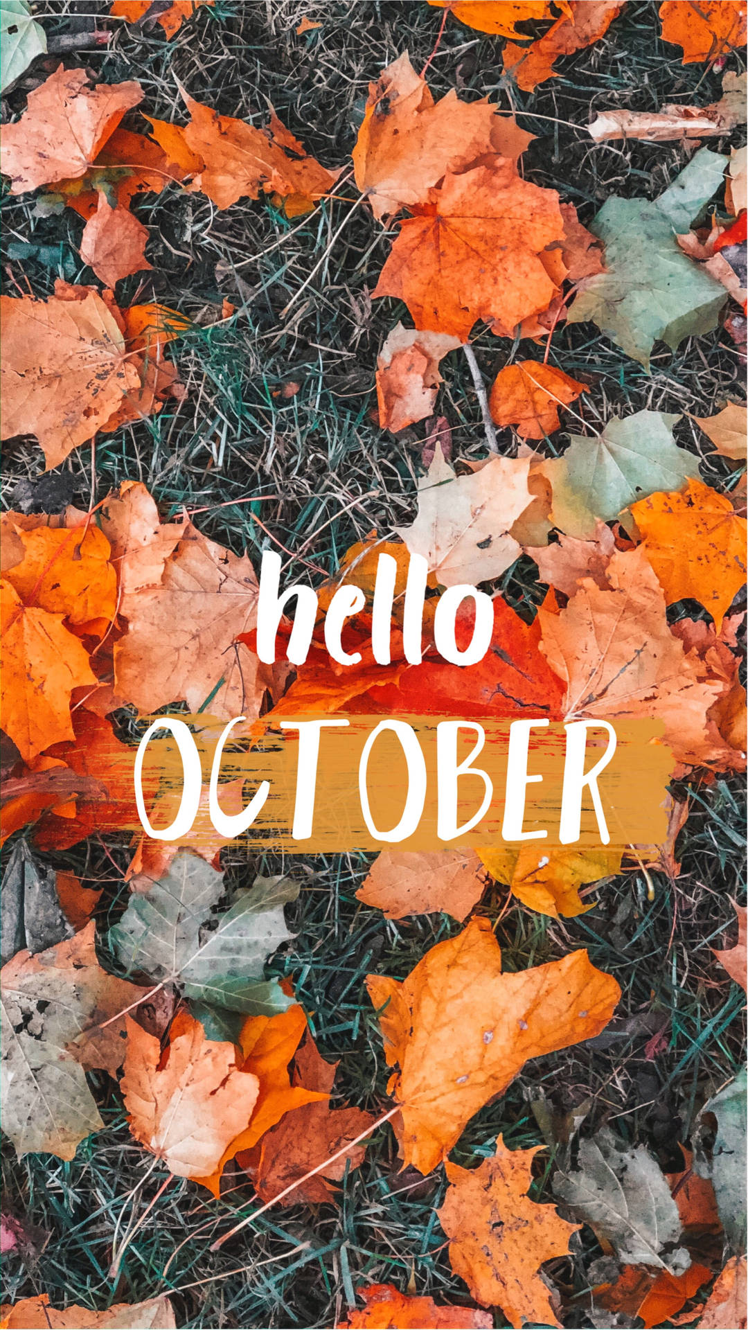 Flat Lay Dried Leaves Hello October Background