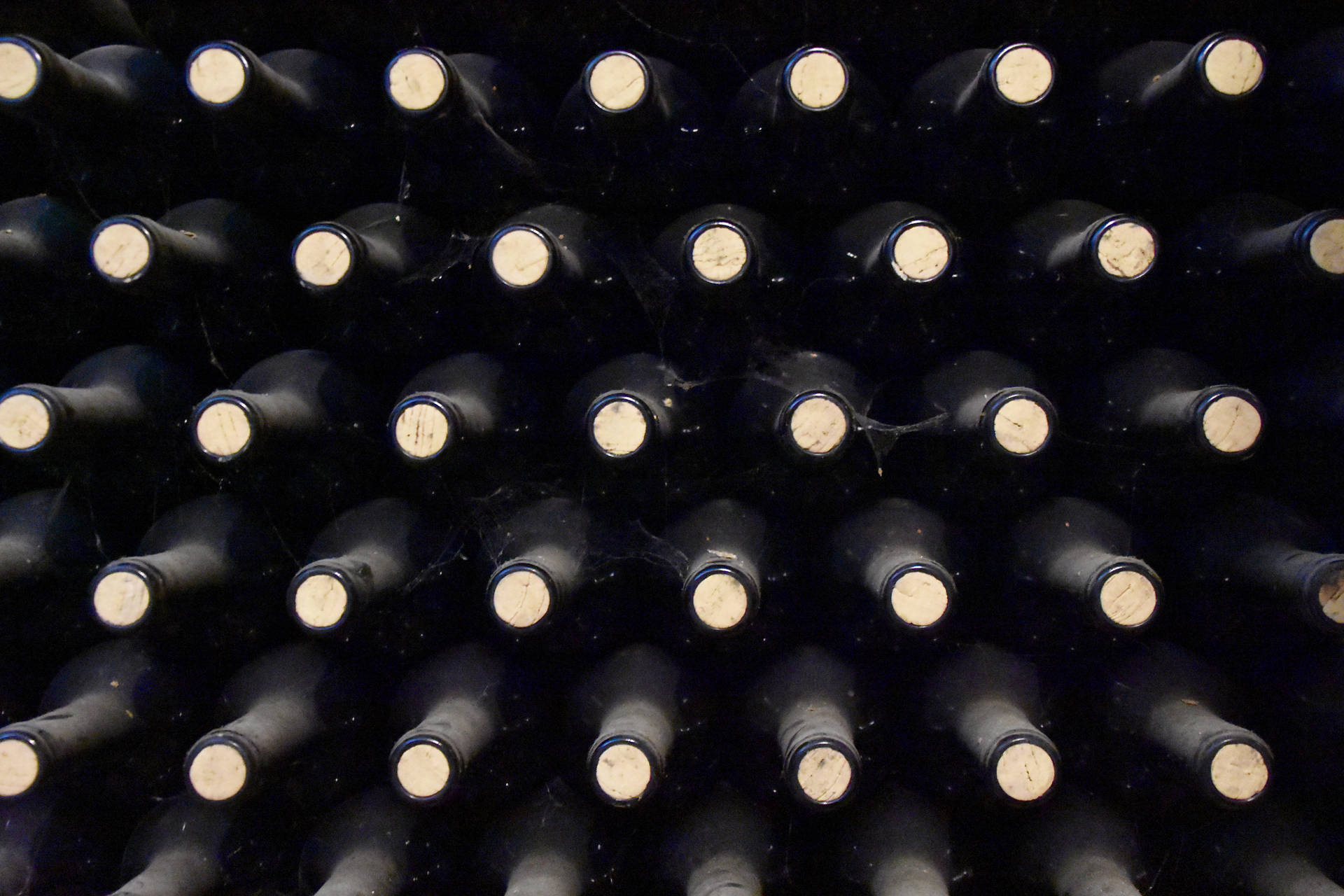 Flat Lay Wine Bottles Background