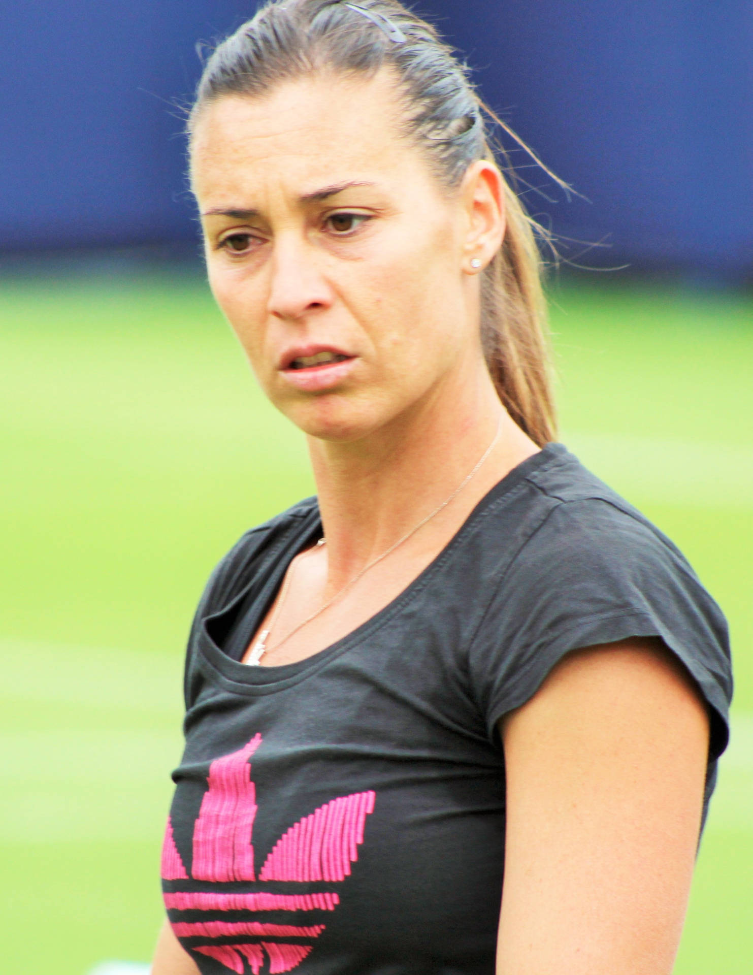 Flavia Pennetta - A Glance Down The Court Background