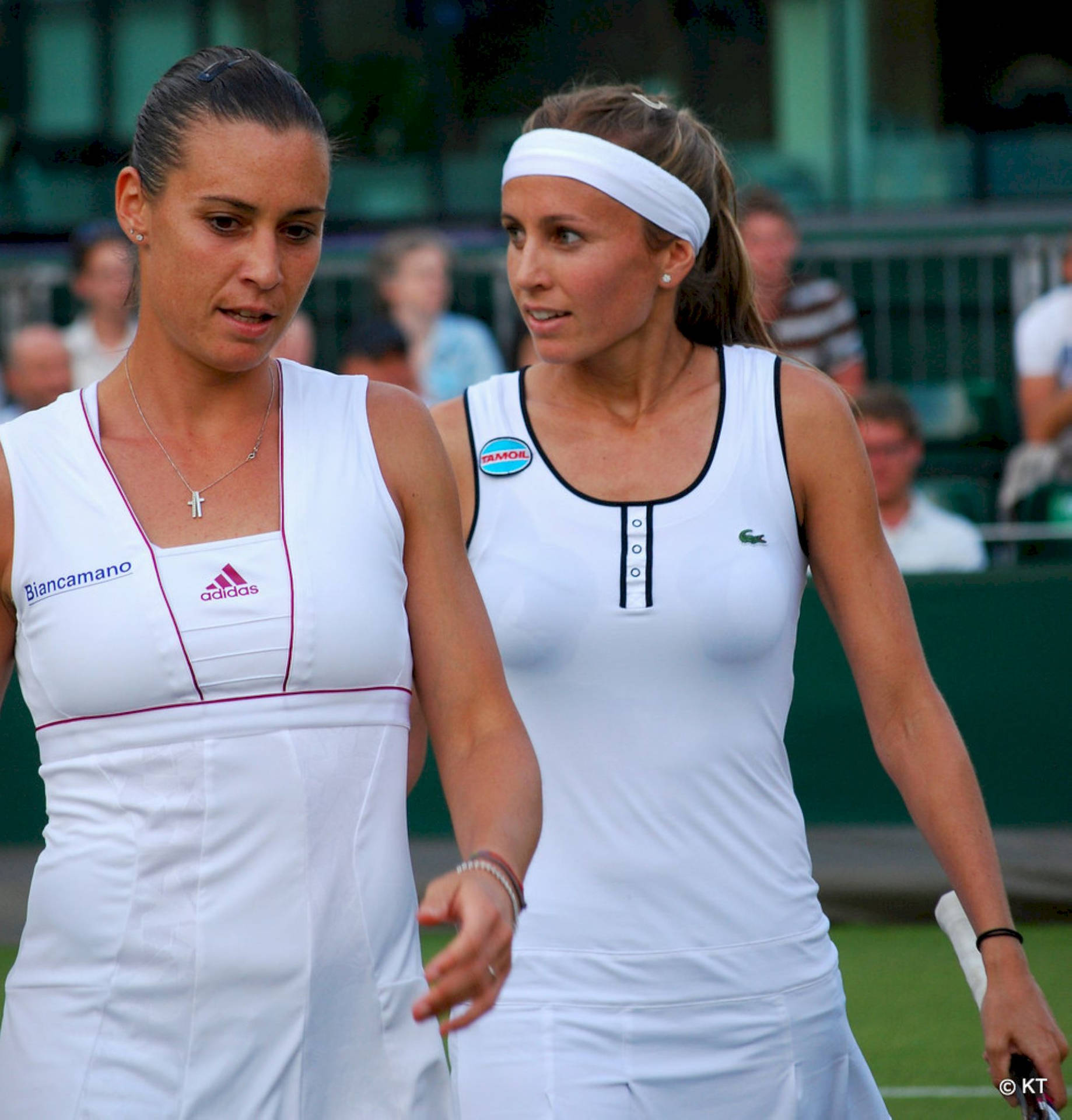 Flavia Pennetta With Gisela Dulko Background