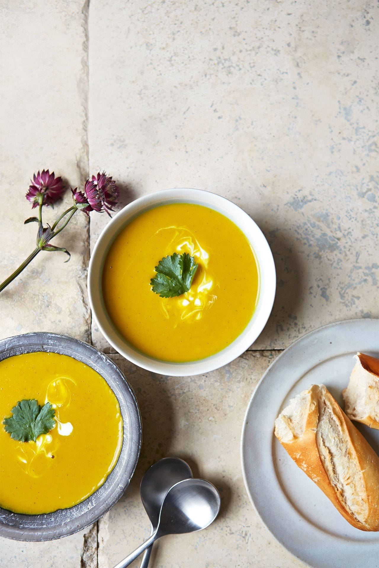 Flavorful Parsnip Carrot Soup Background