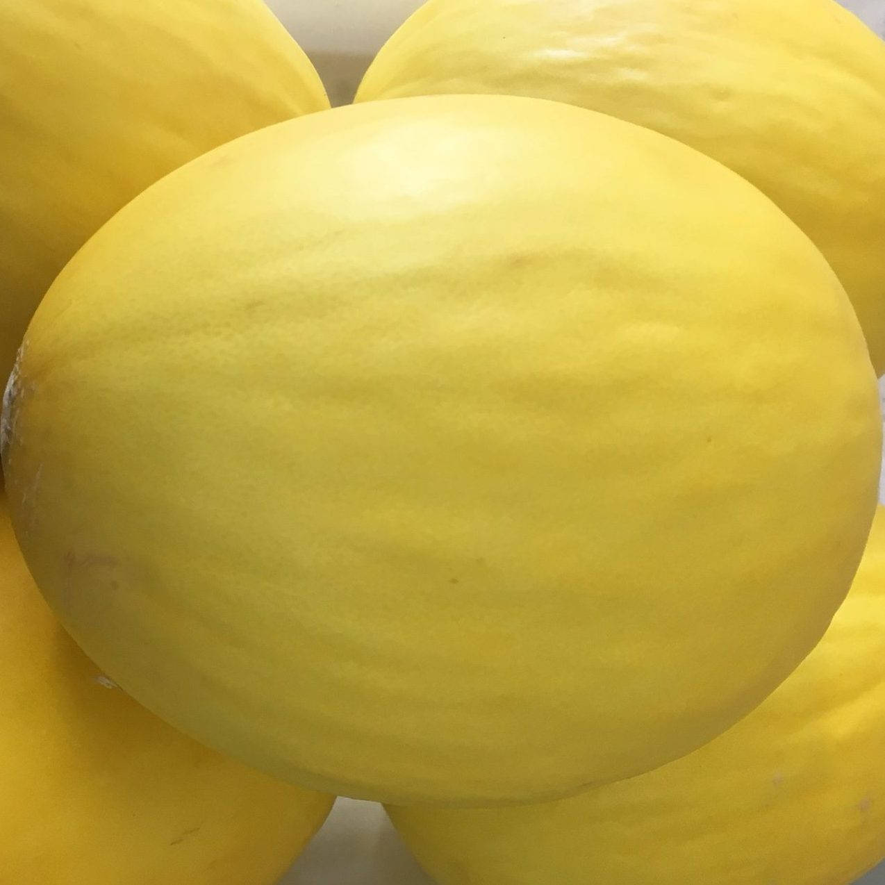 Flawless Canary Melon