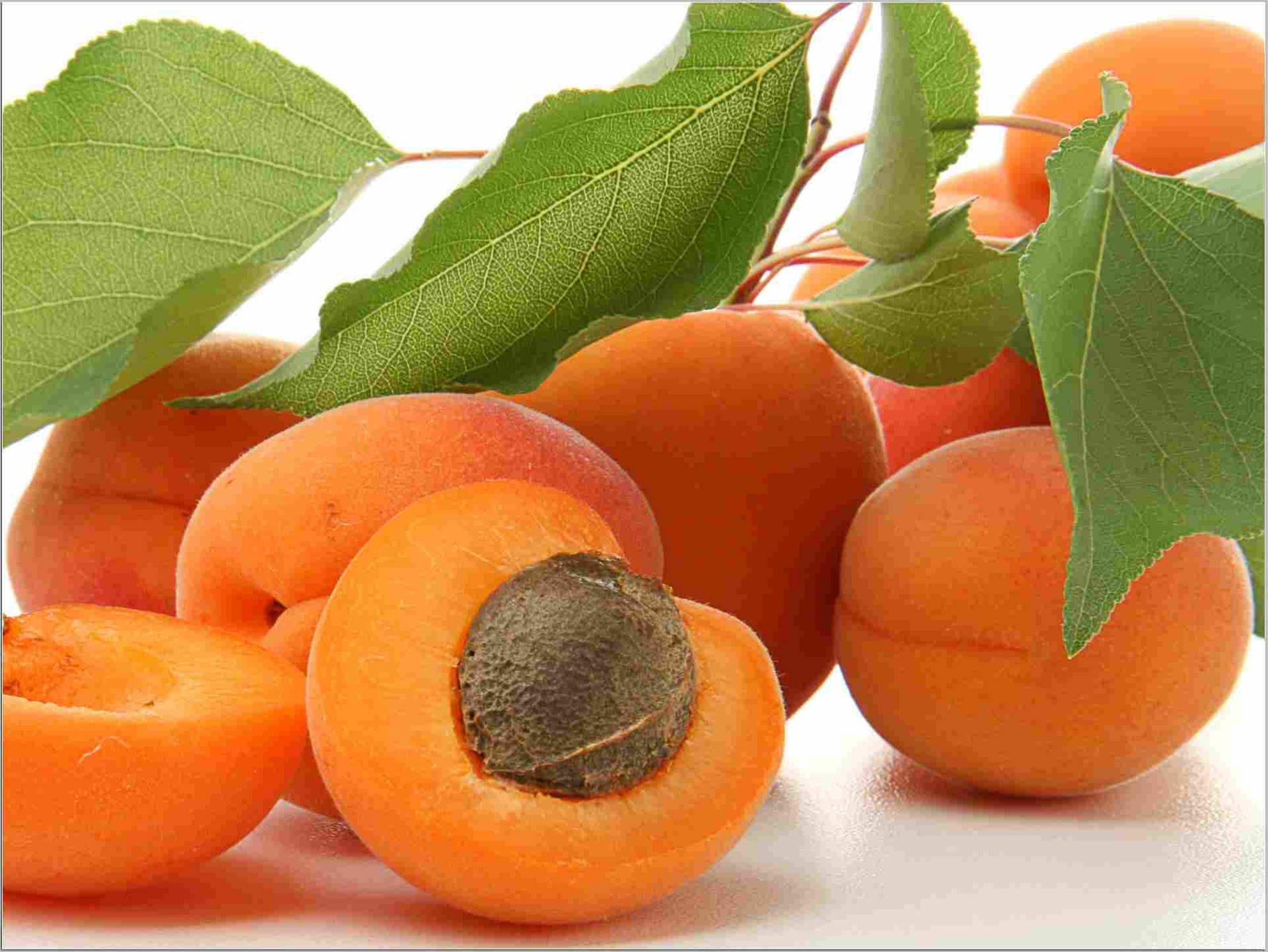 Fleshy Apricot Fruits