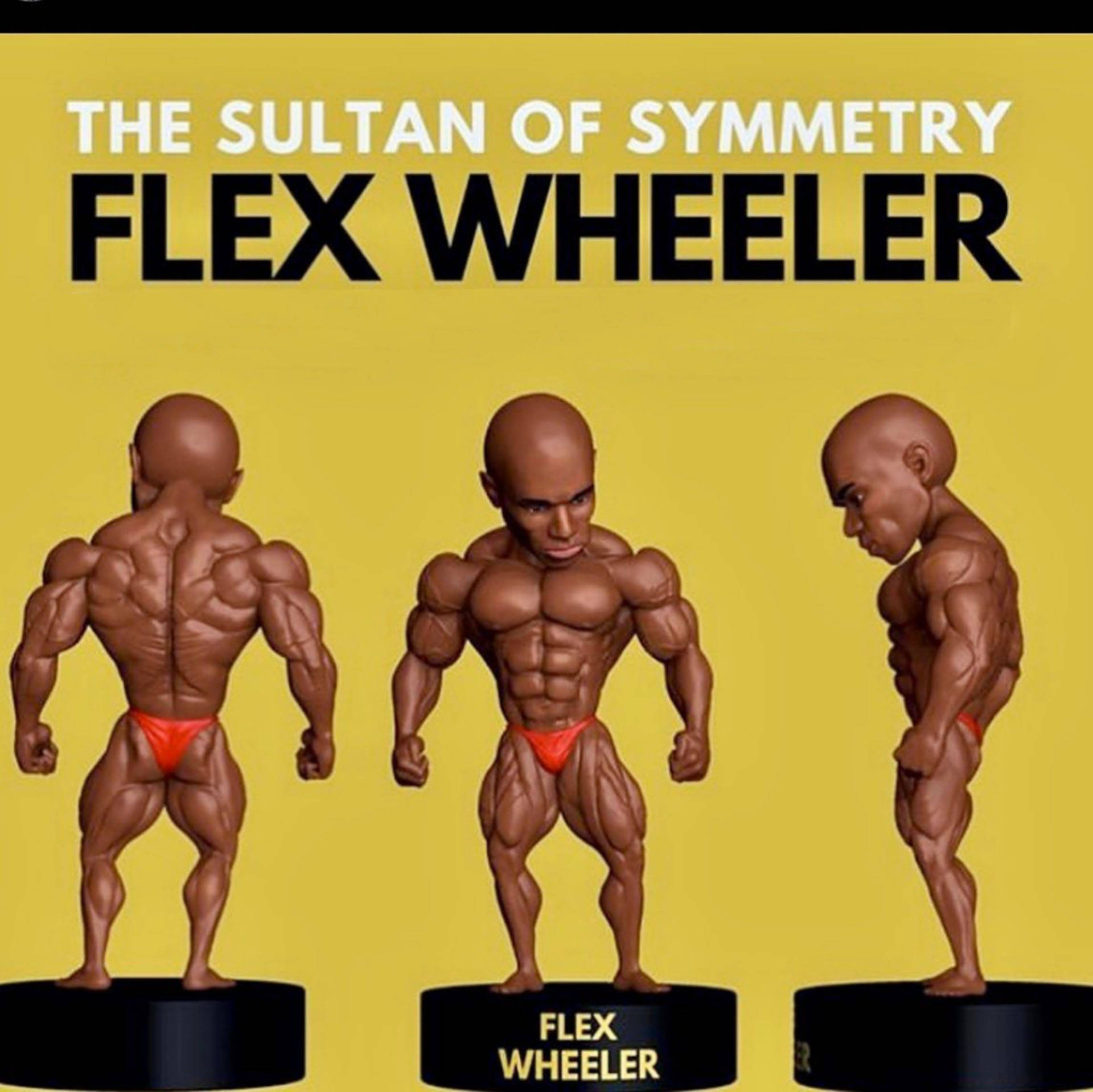 Flex Wheeler Figures Background