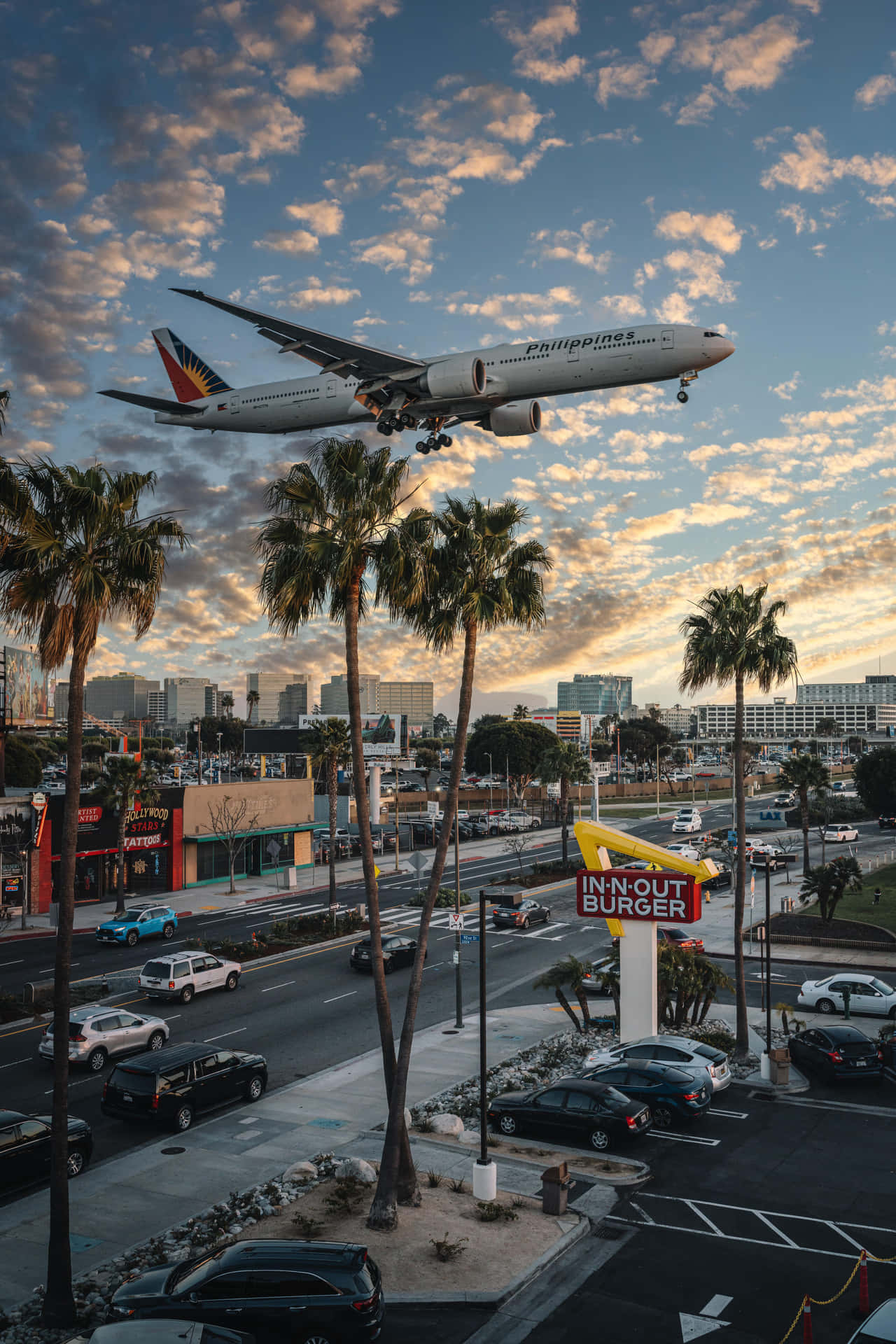 Flight With Palm Trees Background