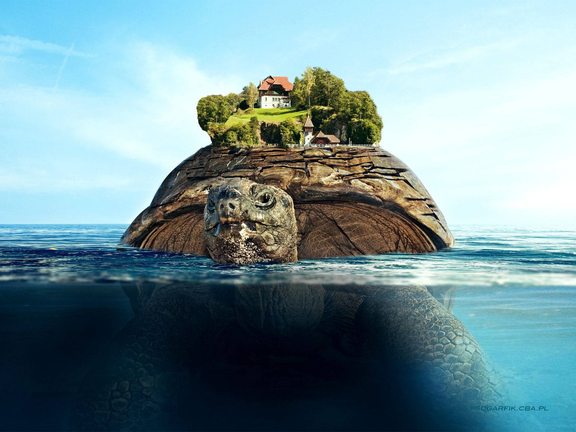 Floating Island On A Tortoise Back