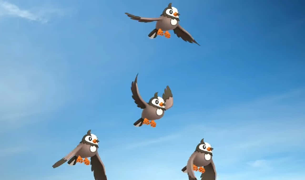 Flock Of Starly Background