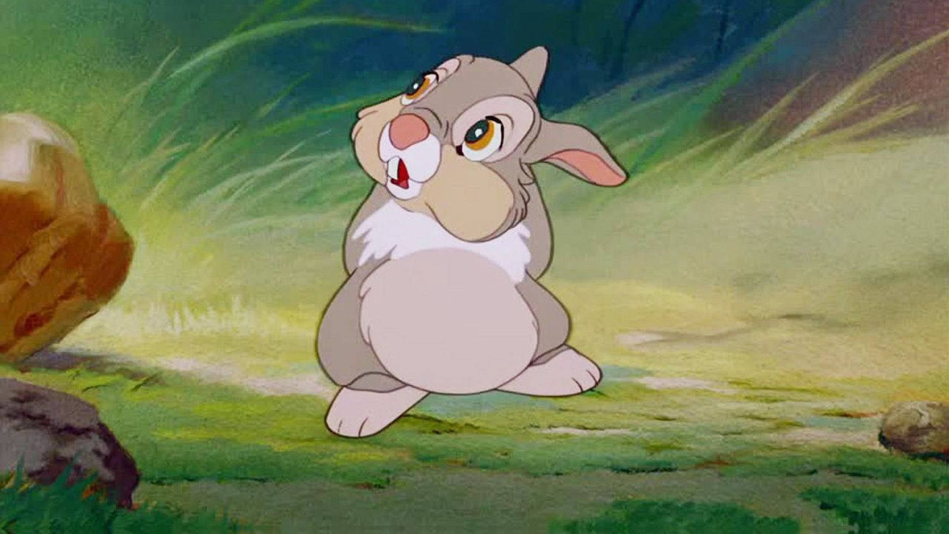 Floppy-eared Thumper With Bloated Tummy Background