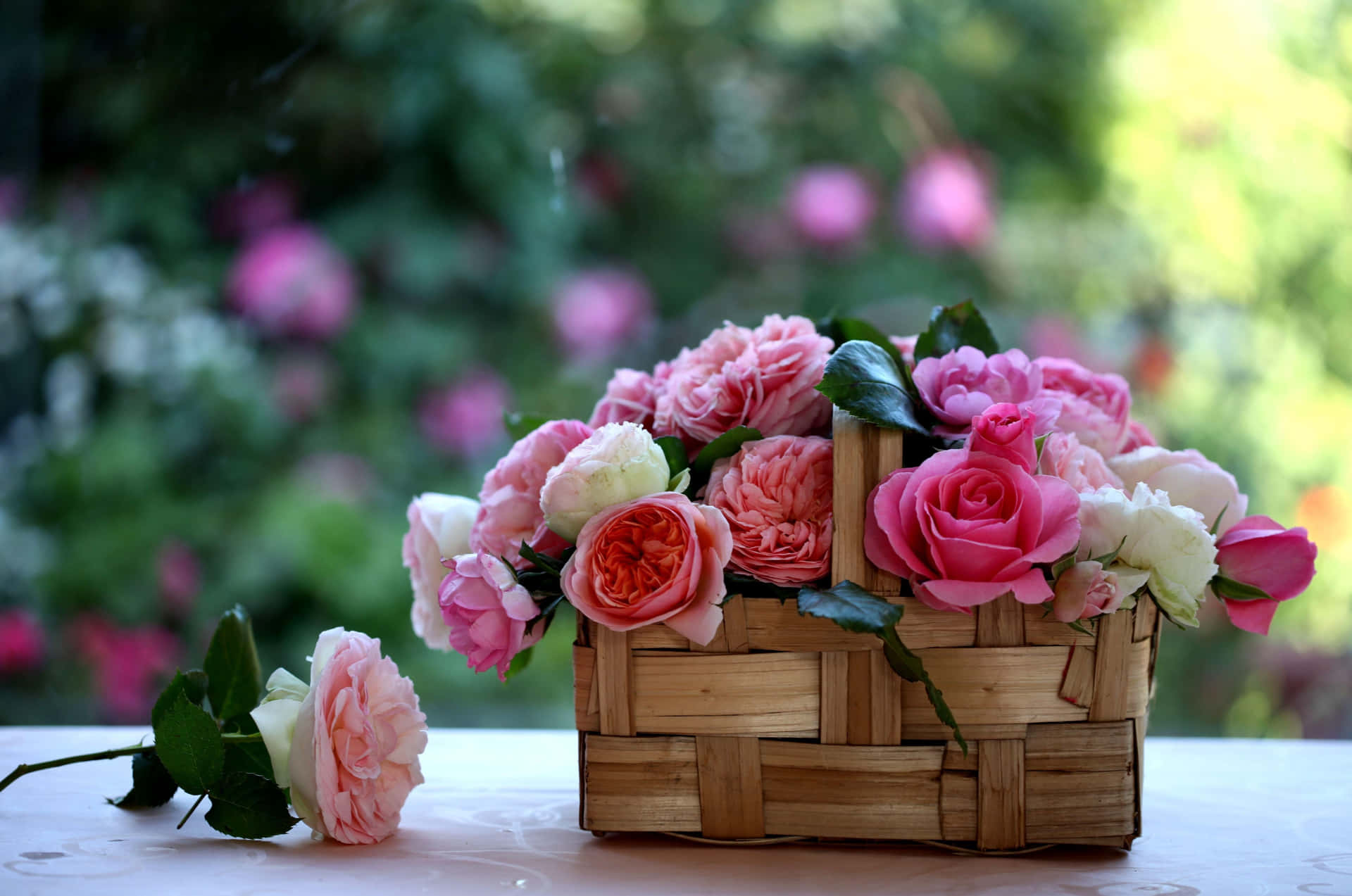 Floral Basket Bokeh Background Background