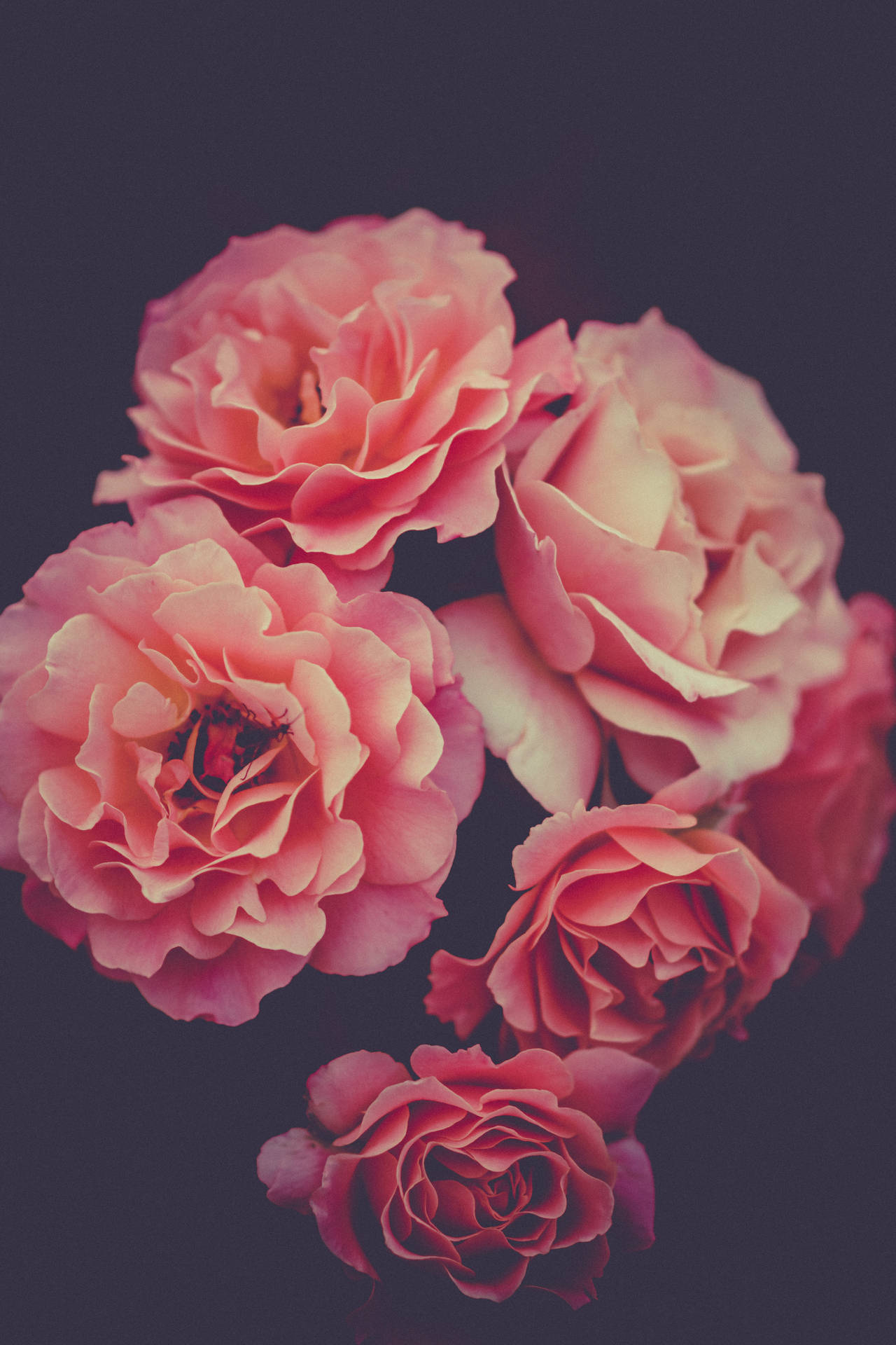 Floral Bloom Aesthetic Art Background