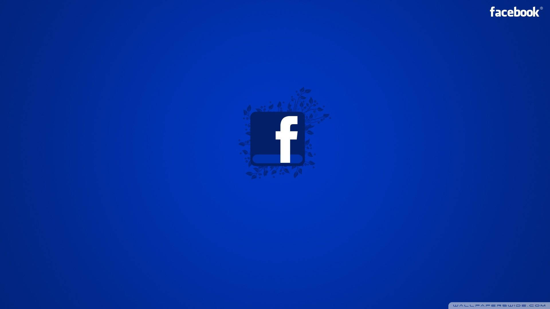 Floral Facebook Blue Minimalist Background